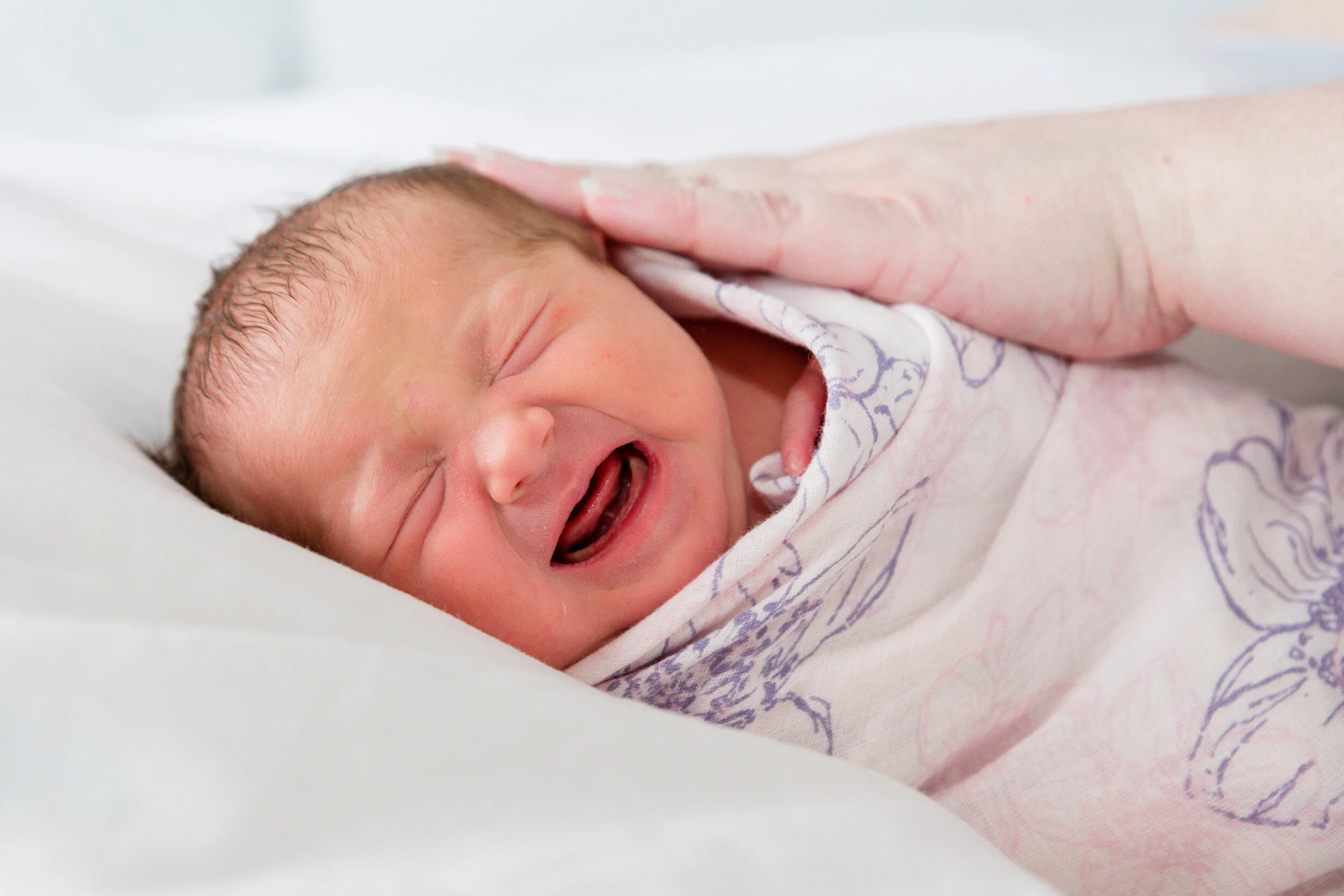 Margo 4 days old_5-8-2021-58.jpg
