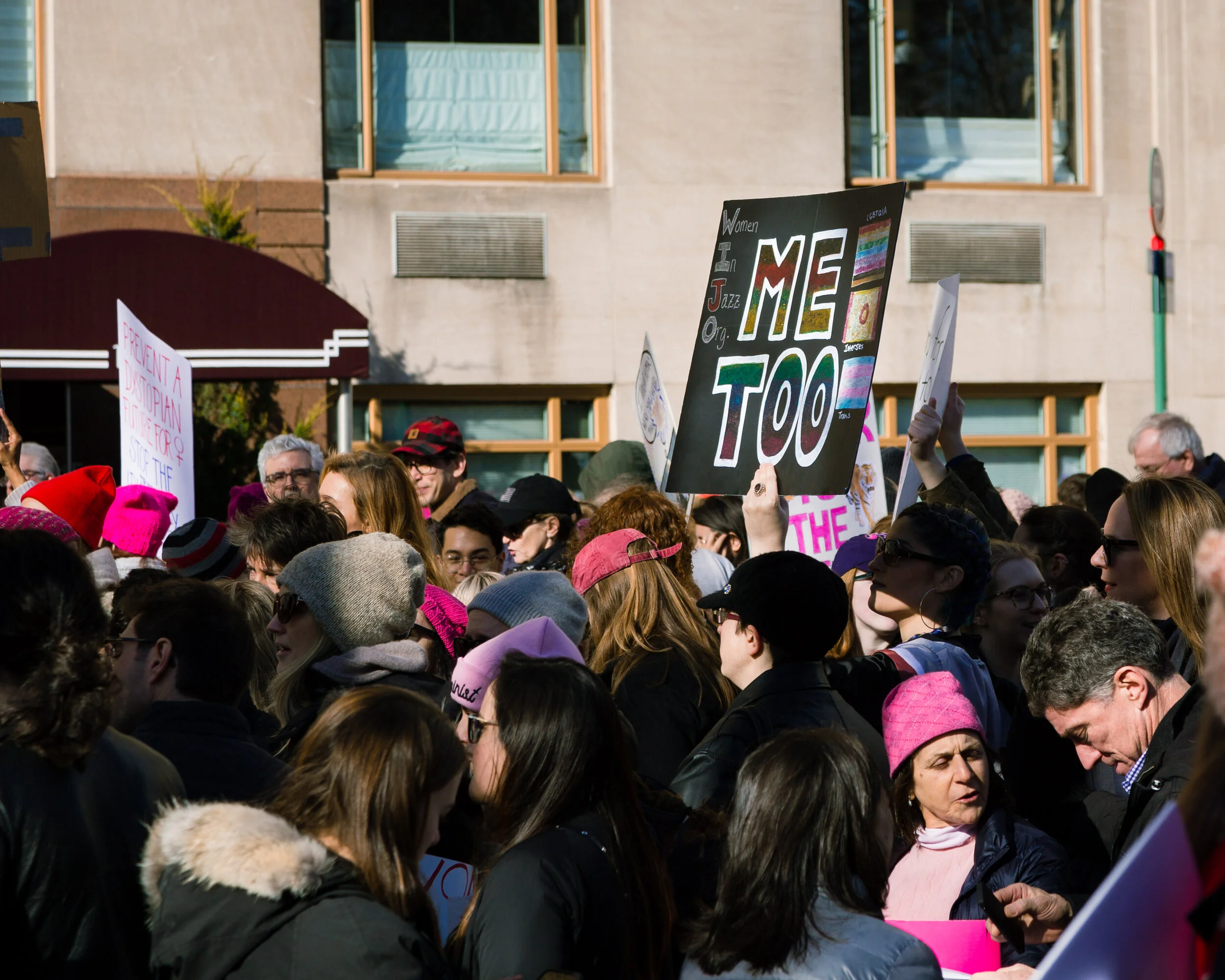 Women's March 2018-5.jpg