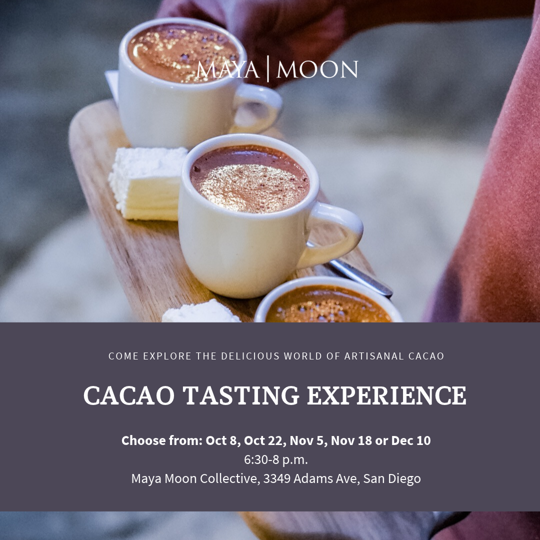 Cacao Tasting Experience