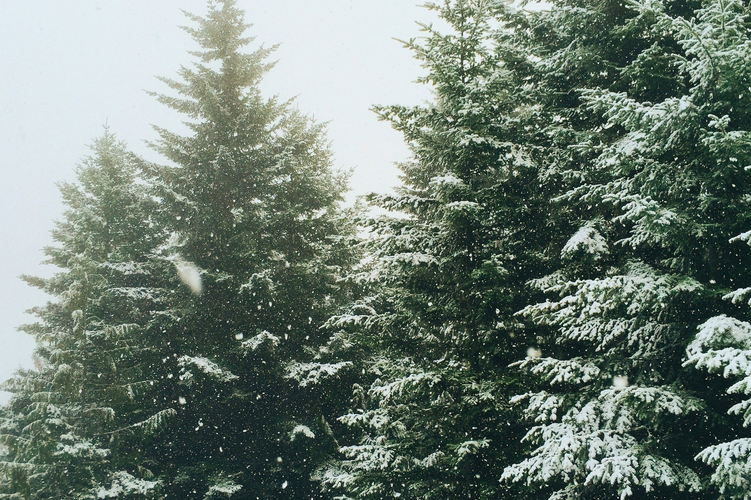 Winter Hair and Skin Tips: Keep Your Glow All December