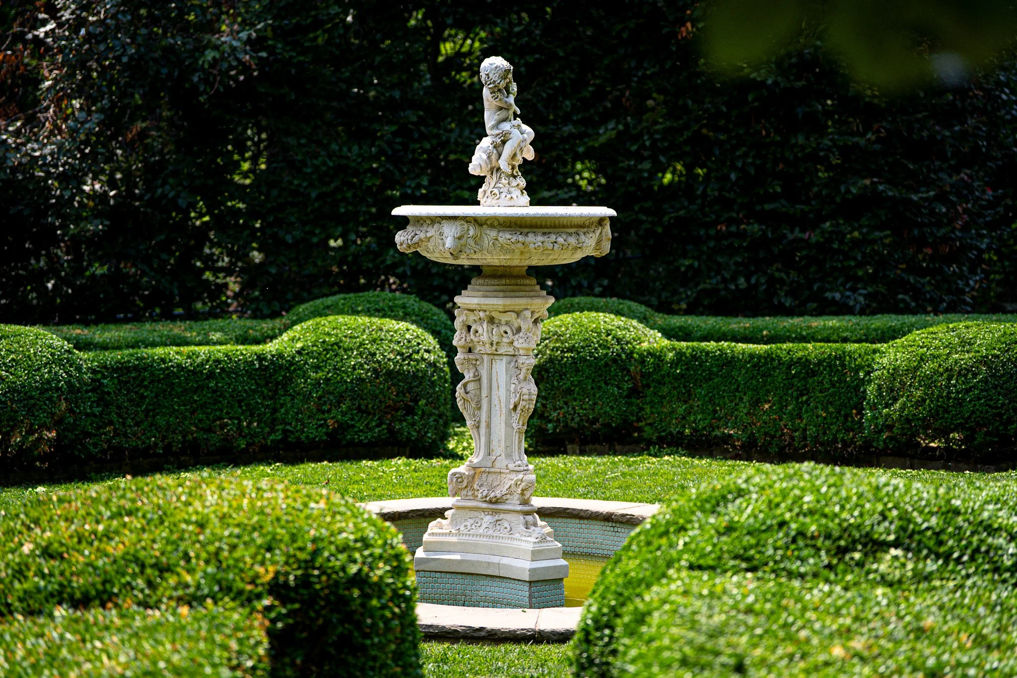 Shrub & Hedge Pruning