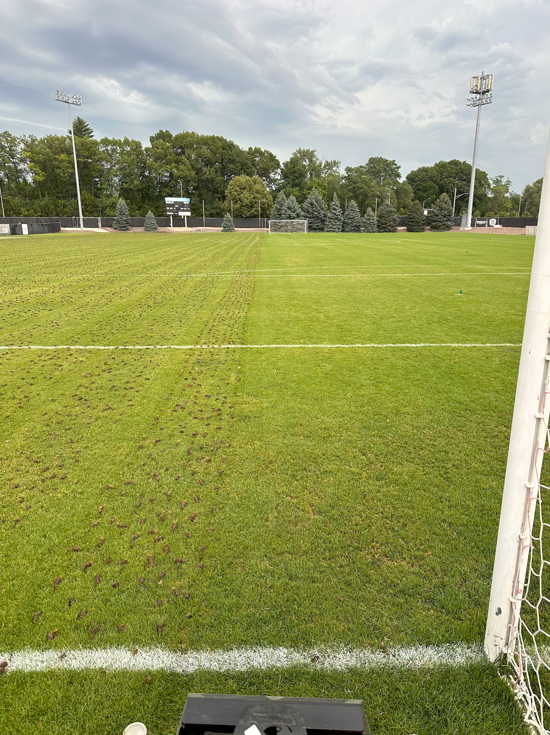 Aeration & Overseeding