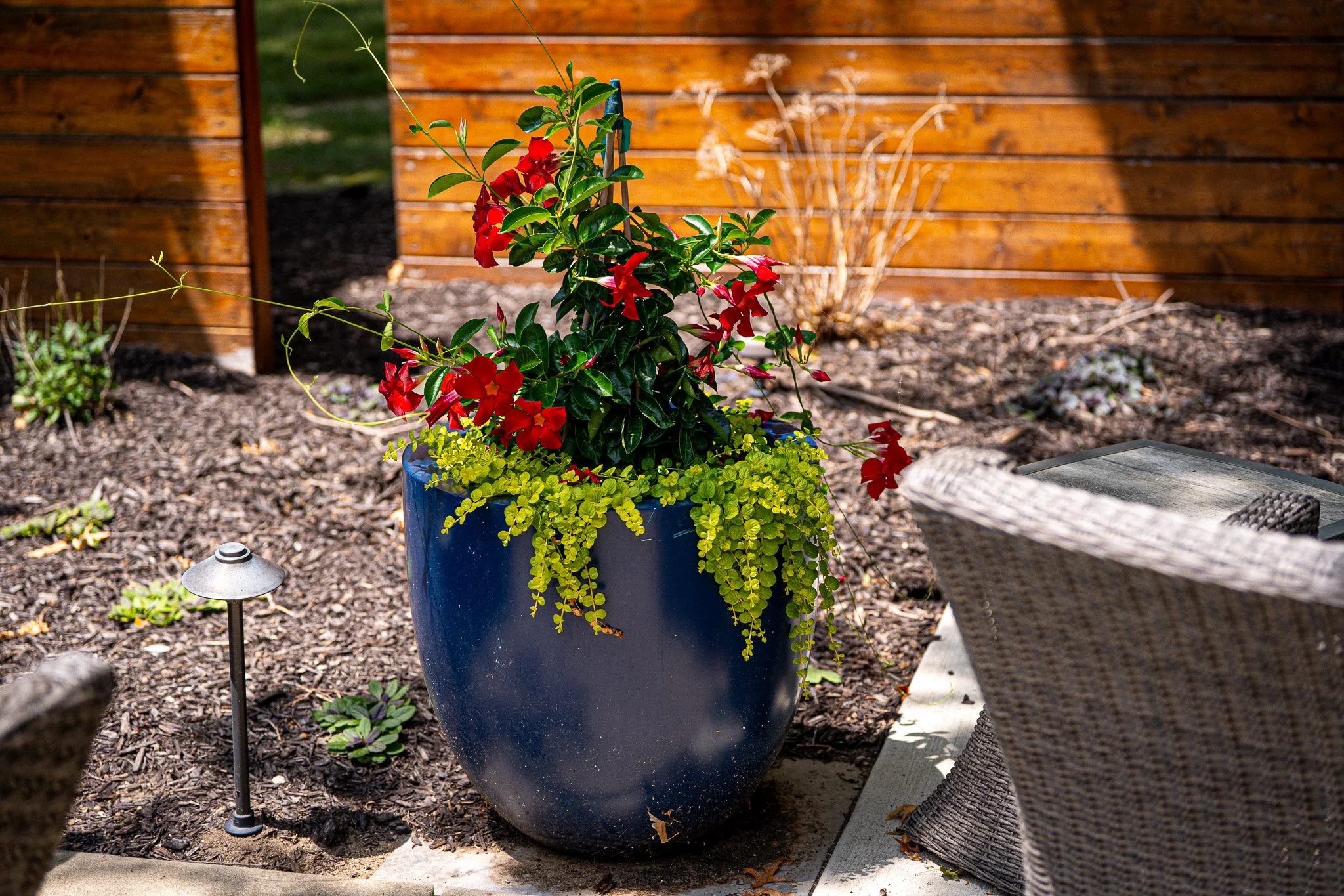 Custom Planter Design
