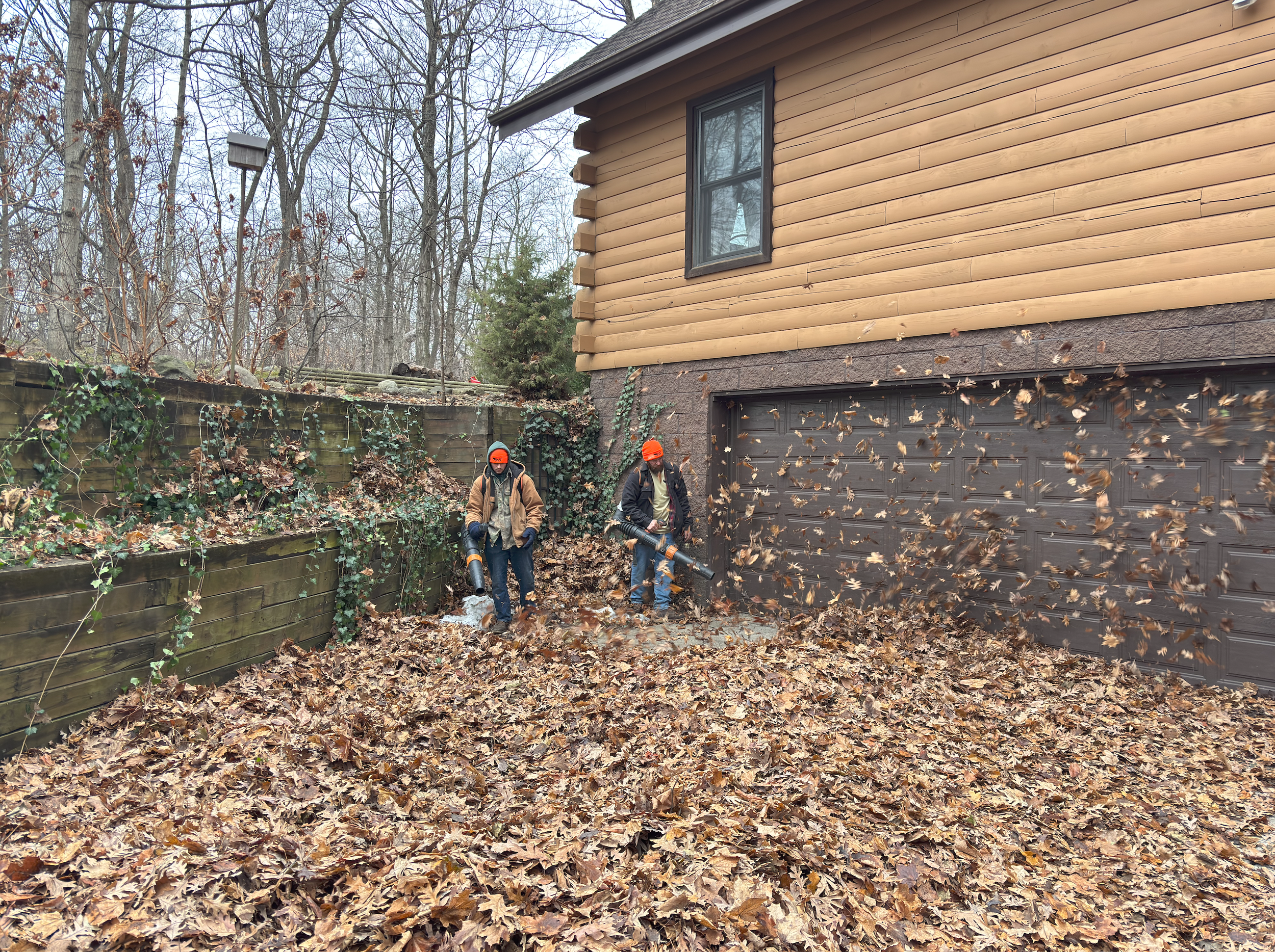 Spring & Fall Cleanups