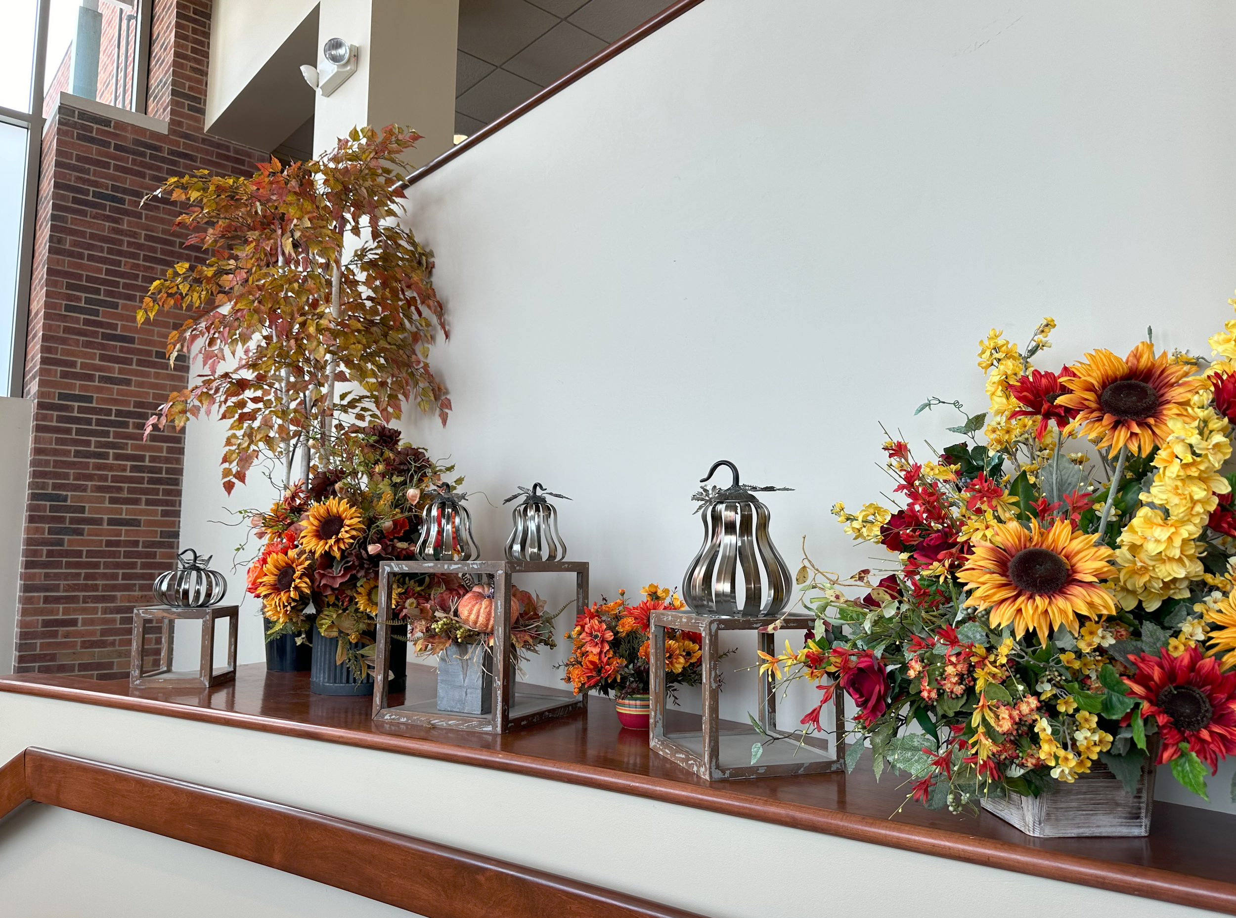 Seasonal Displays