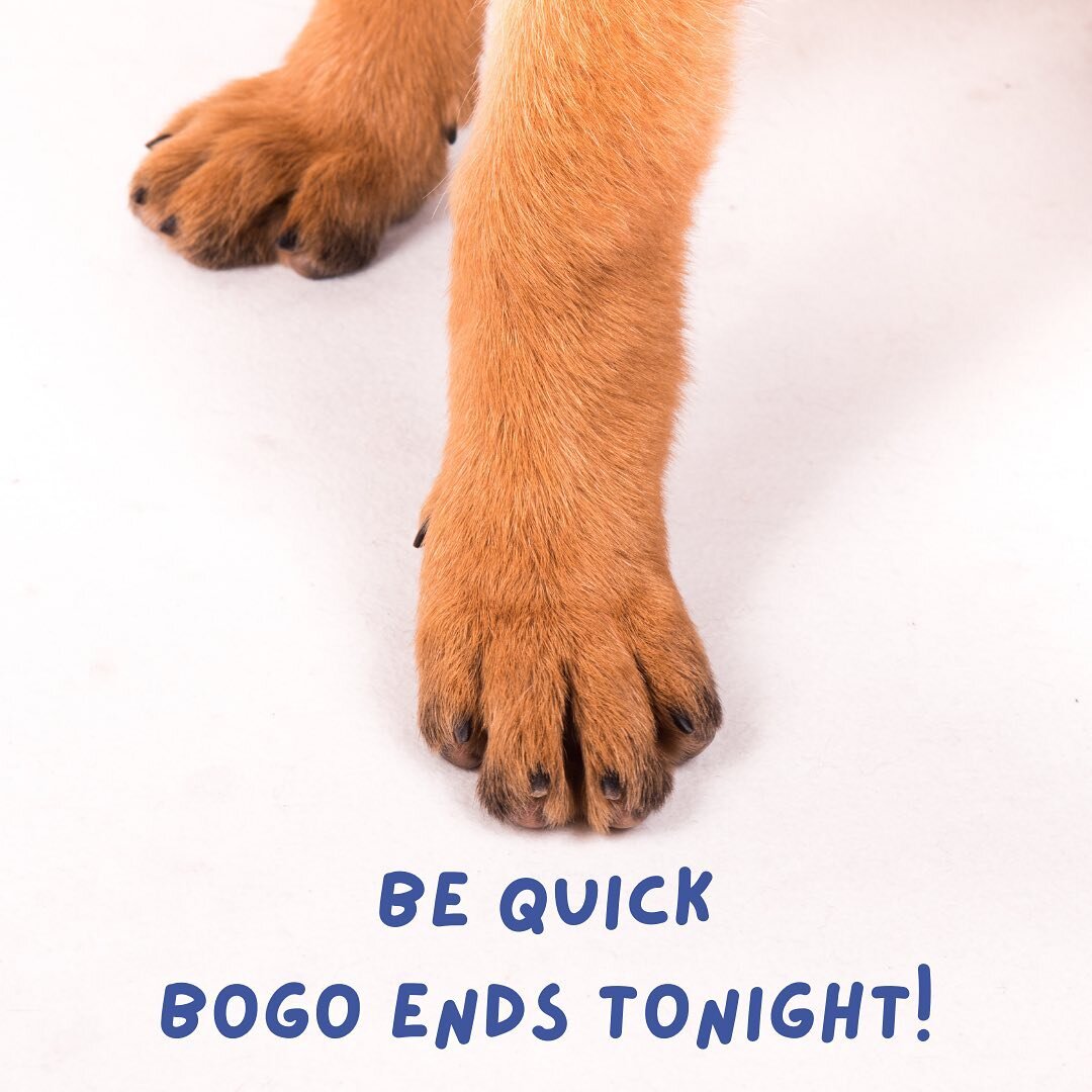 All good things must come to an end 🐾 Buy one get one free ends tonight at midnight AEST. 
.
.
Place an order for one product at raggypets.com.au then send us a DM quoting your order number with your free product of choice or write a note in the com