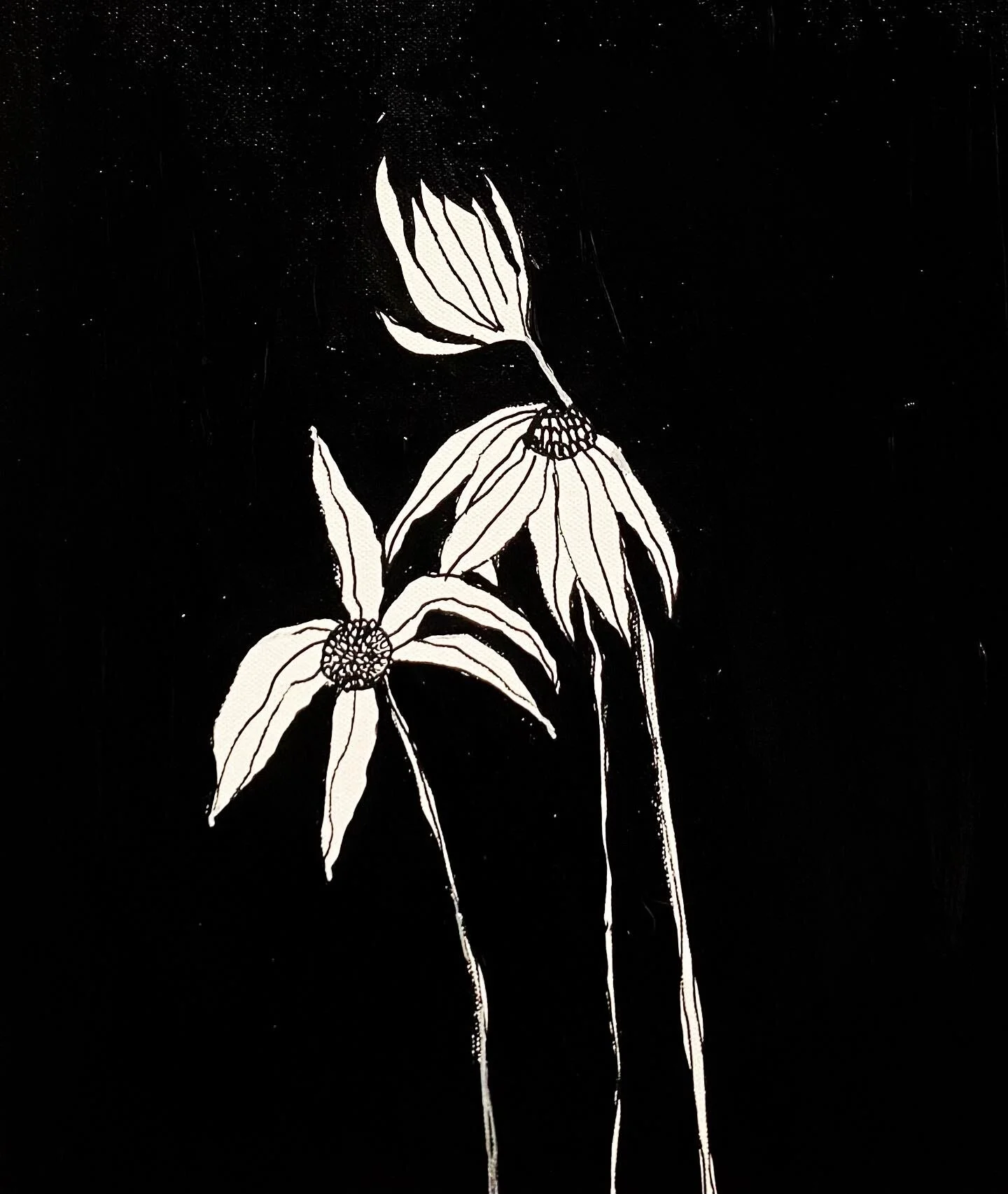 Monochrome illustration of two flowers with long petals and stems against a black background.