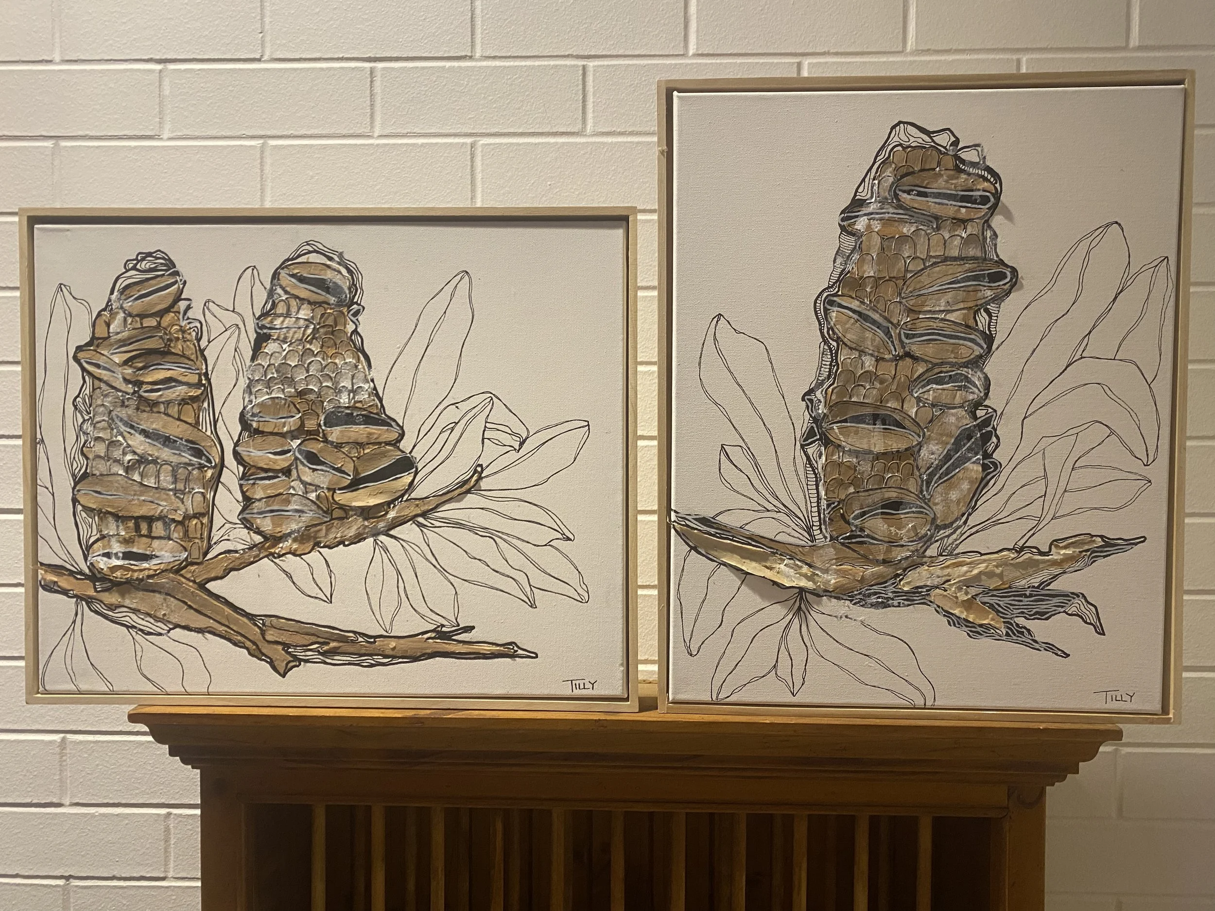 Two framed art pieces featuring ink and metallic paint illustrations of pinecones and pine branches on wall, signed by Tilly.
