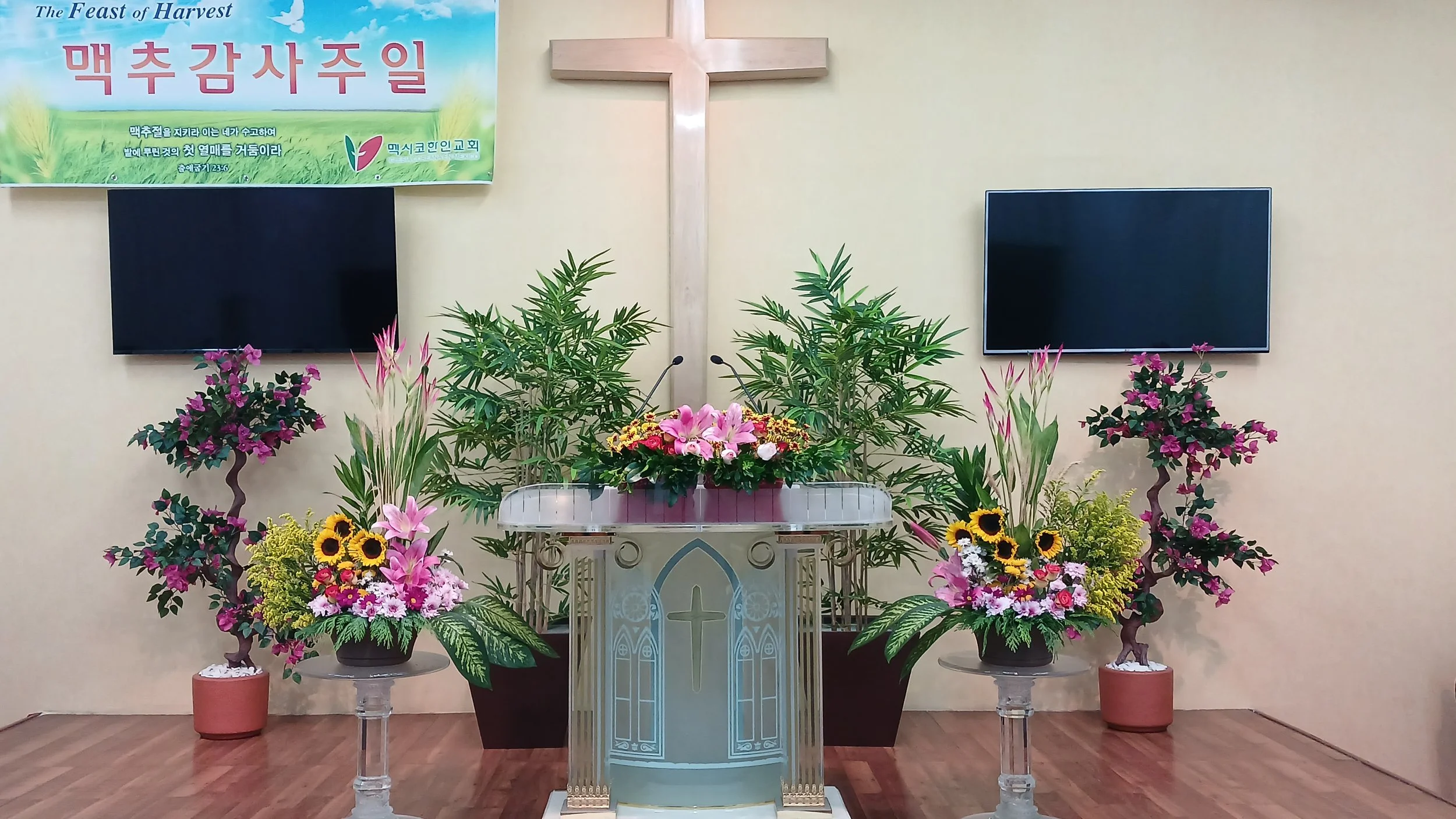 KakaoTalk_20250705_143428364.jpg