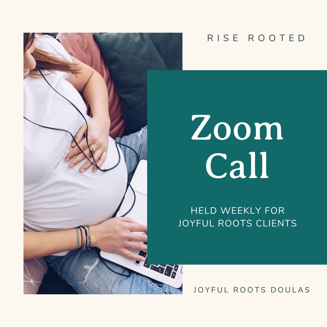 Weekly Zoom Call