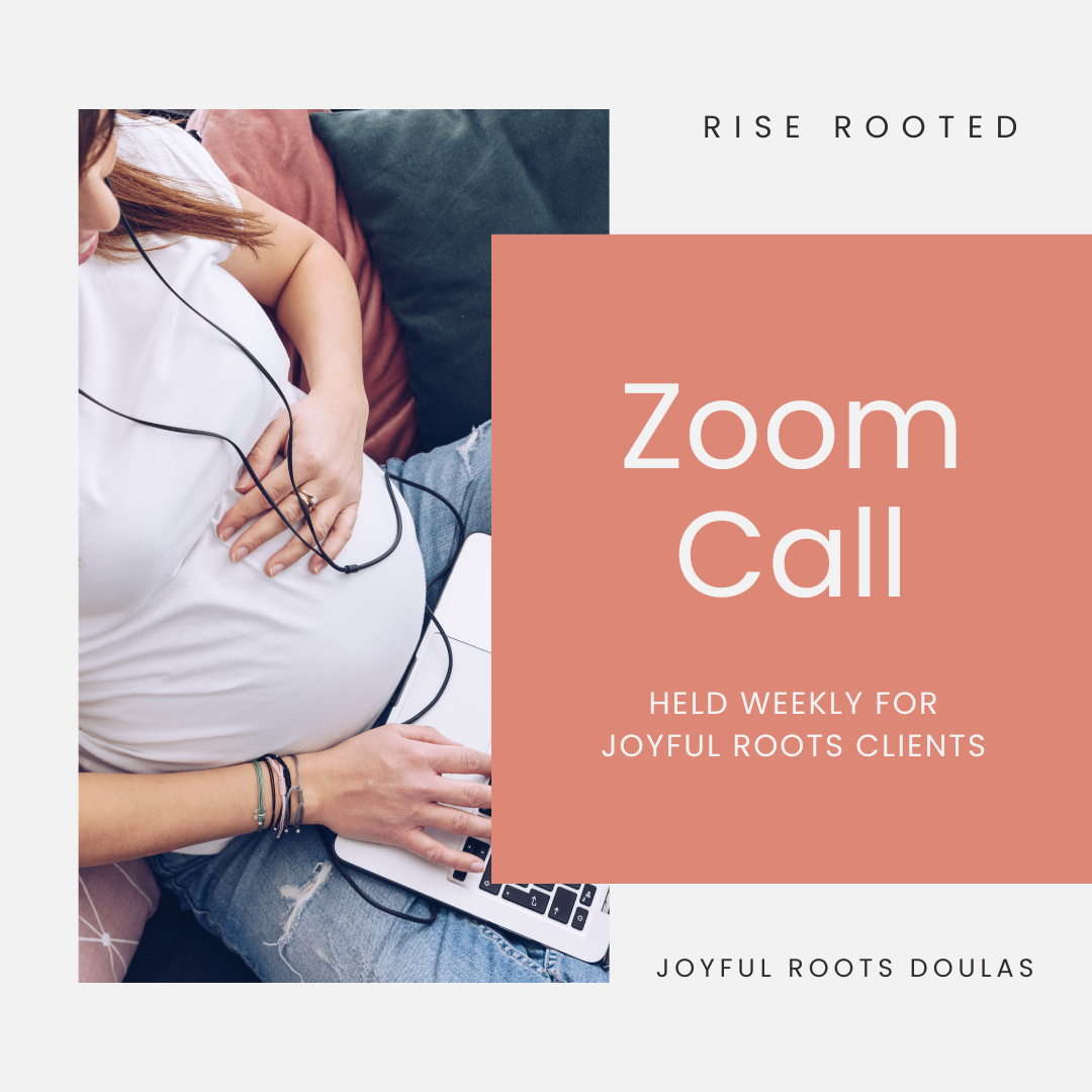 Weekly Zoom Call
