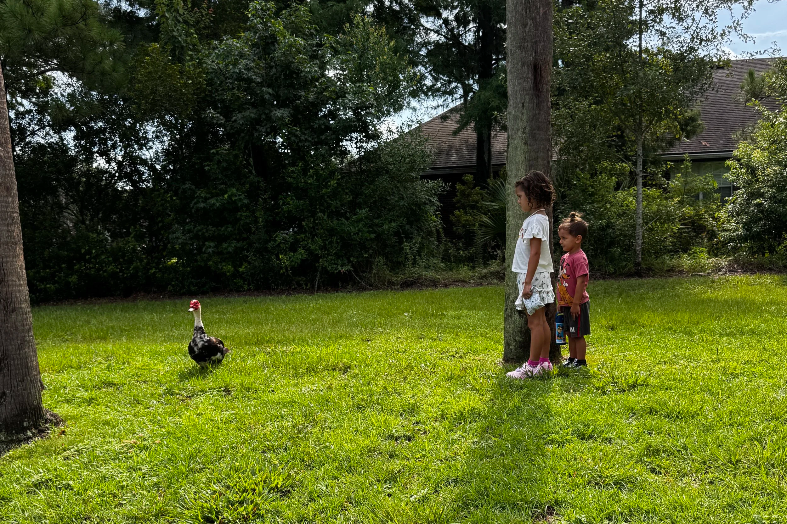 The Hidden Work of Homeschool Flexibility