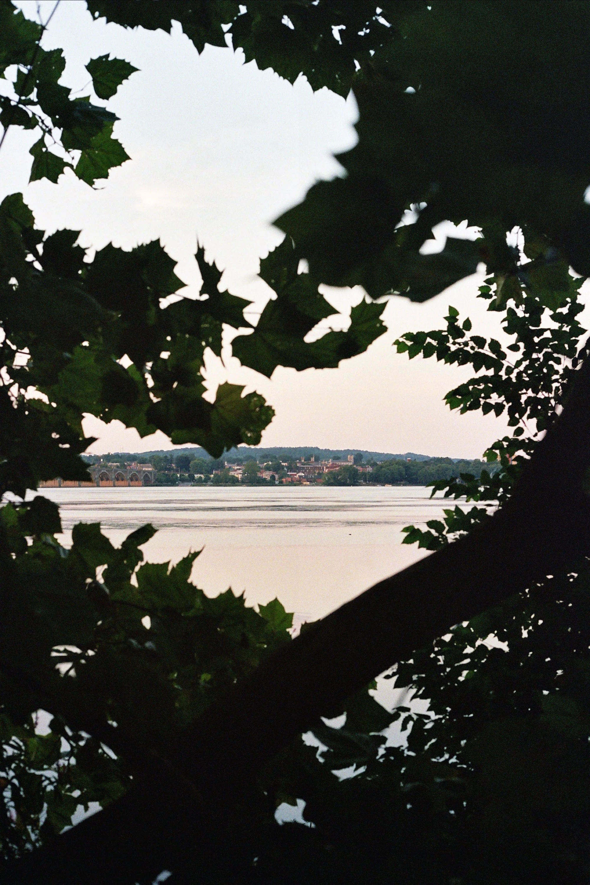 _24_0457.JPG