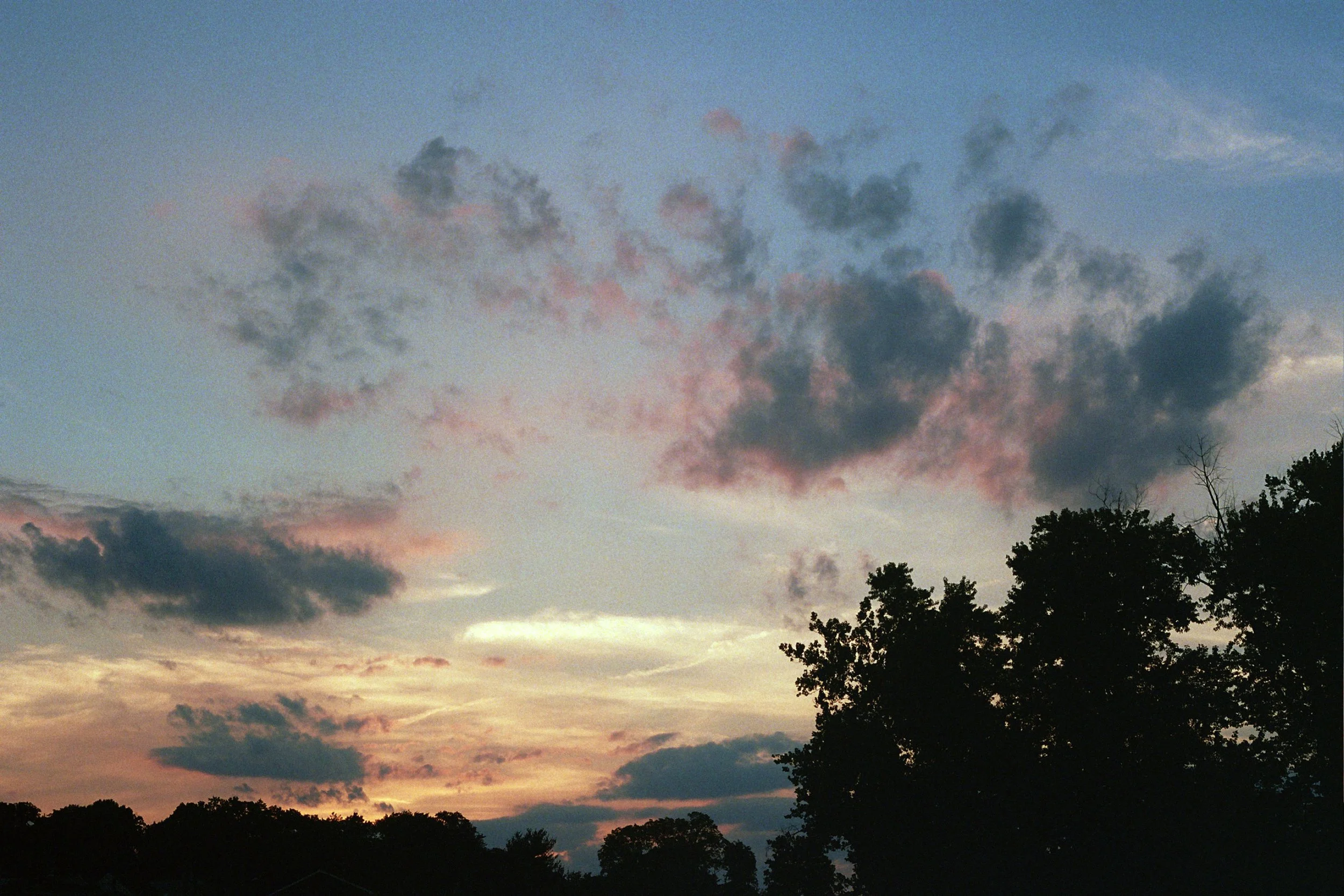 _29_0462.JPG