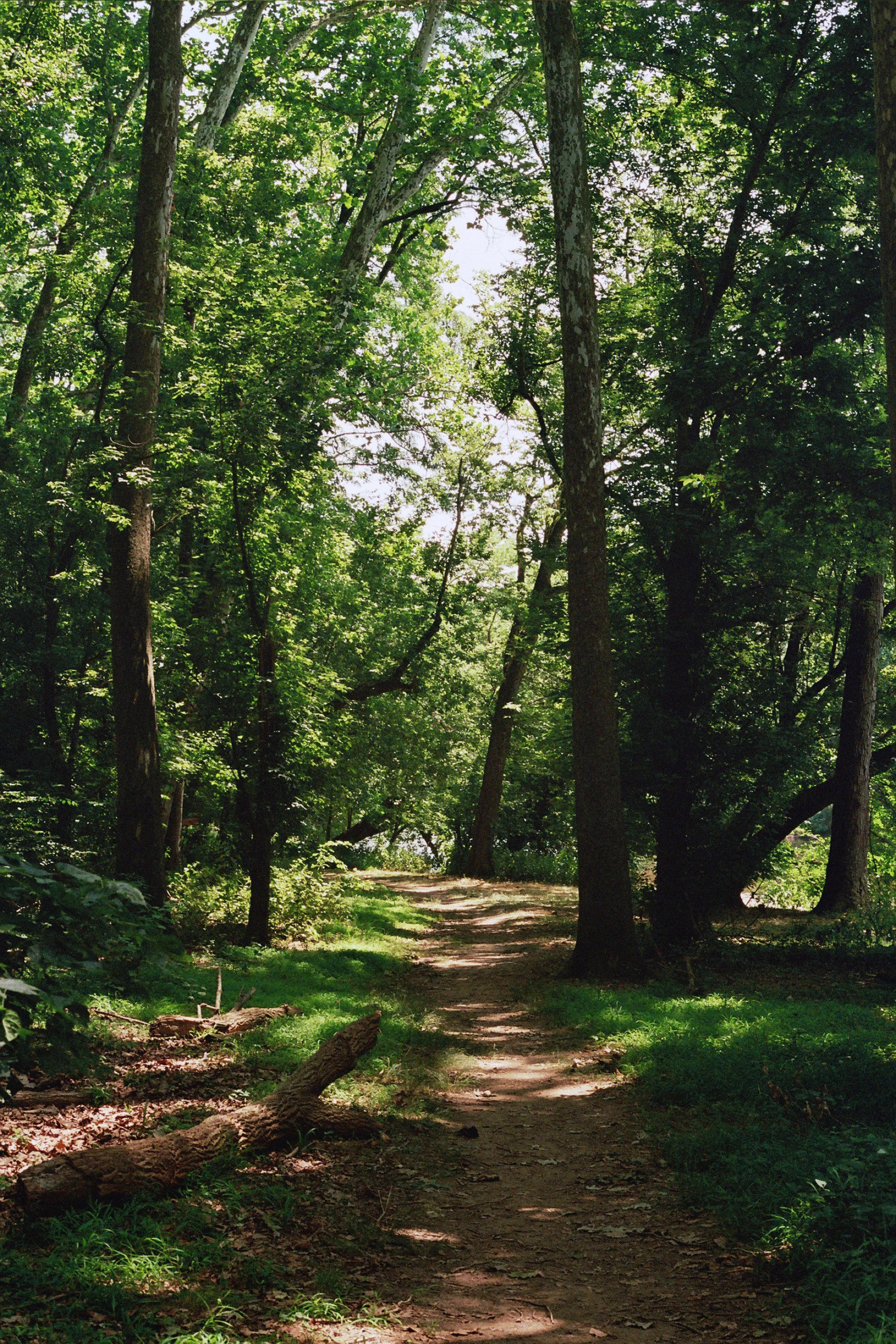 __9_0442.JPG