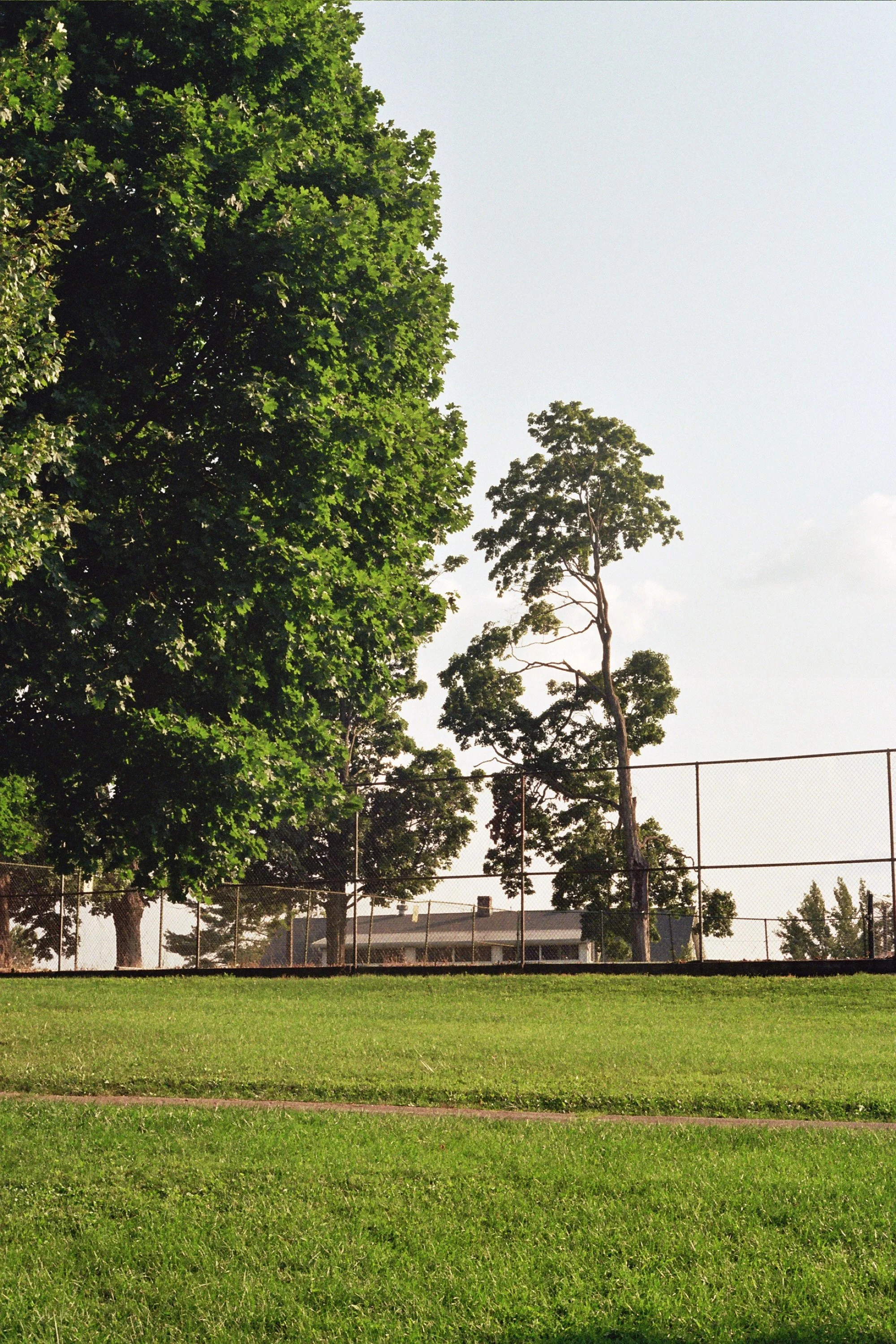 __7_0475.JPG