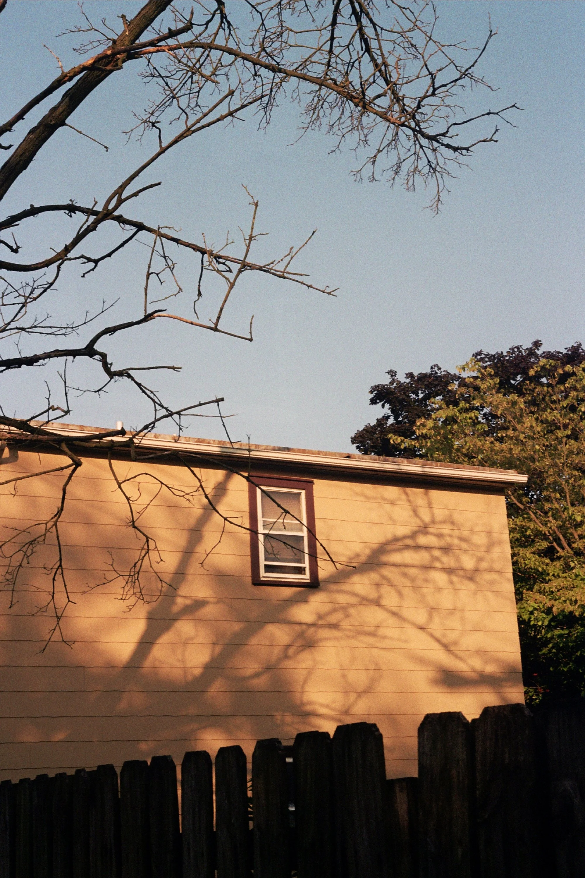 __8_0476.JPG