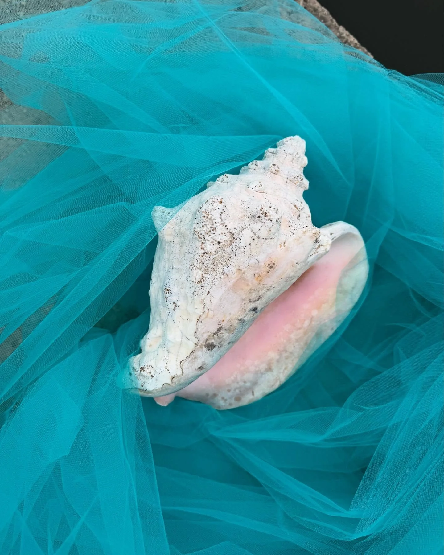 Friday, June 13th in the @westartlanc Sanctuary 🐚 5-9PM