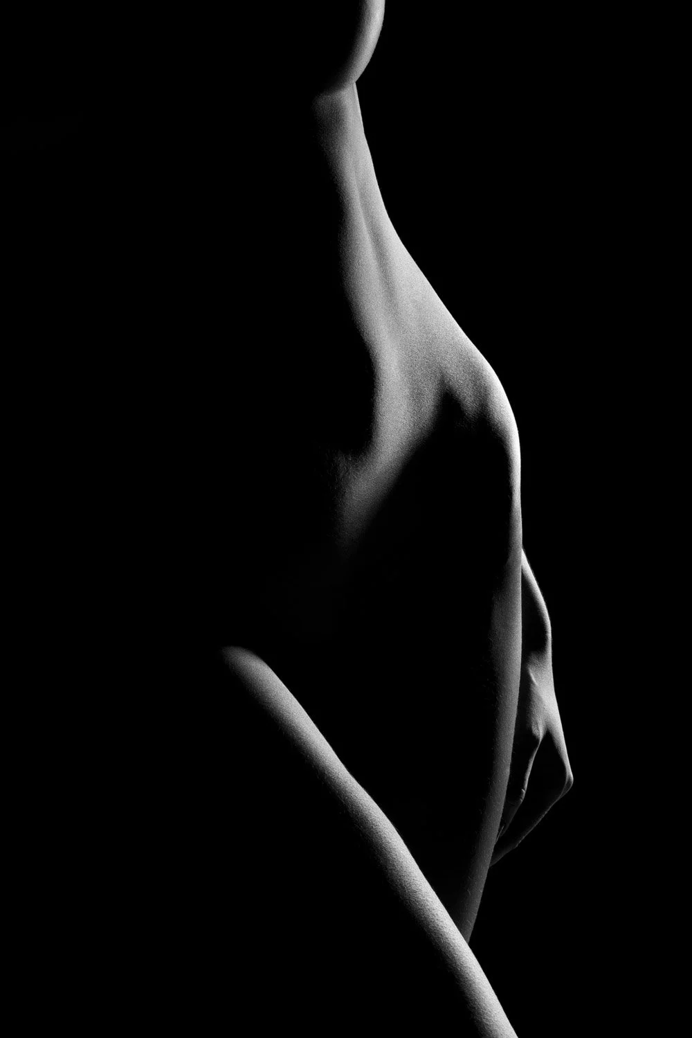 Fine art nude silhouette highlighting the human form in soft shadow, Perth photography