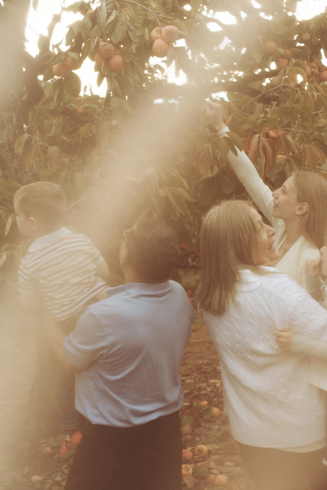 family-21.jpg