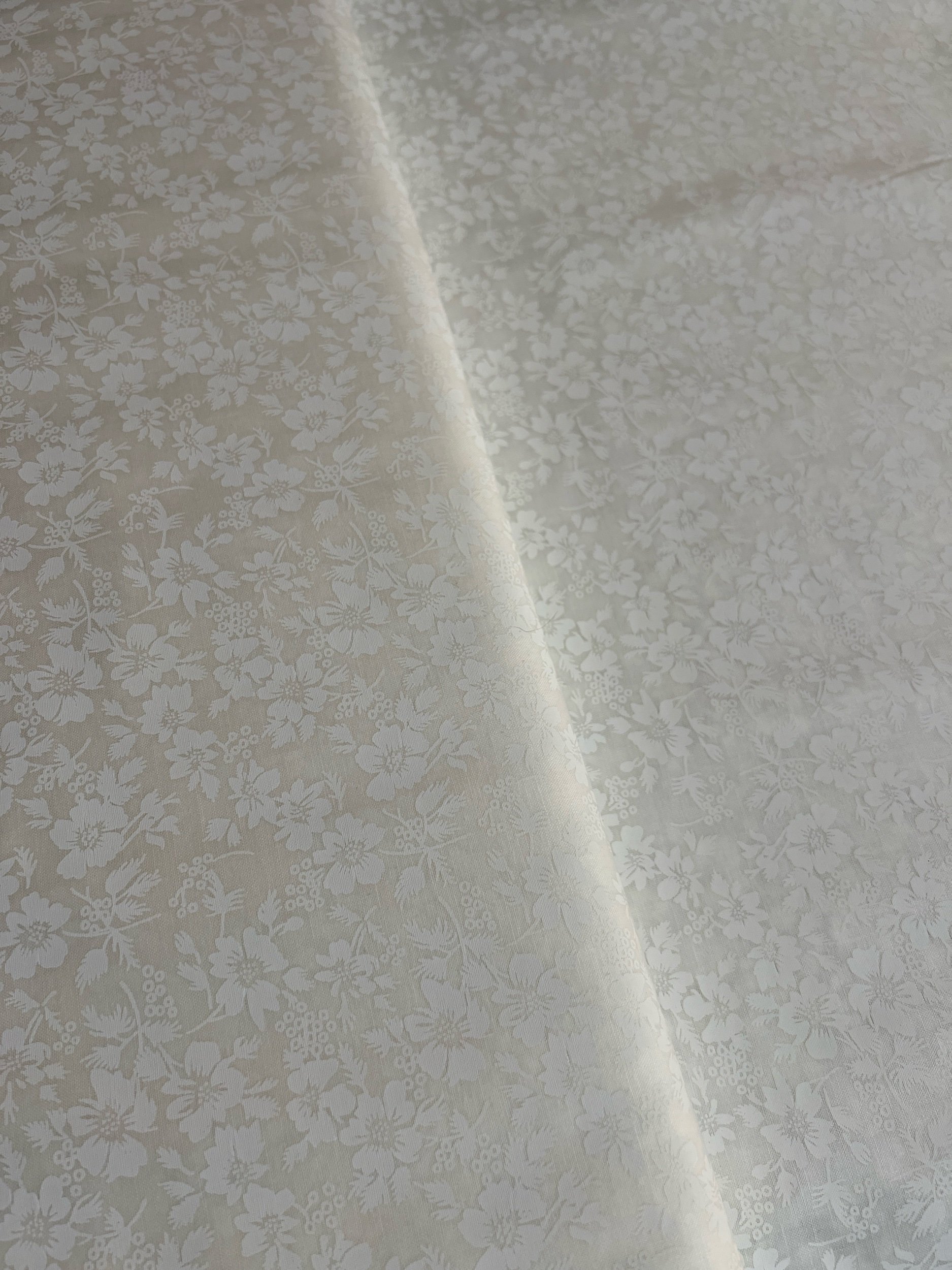 515F1D42-DEBC-4570-9323-0D2581B0C25E.jpeg