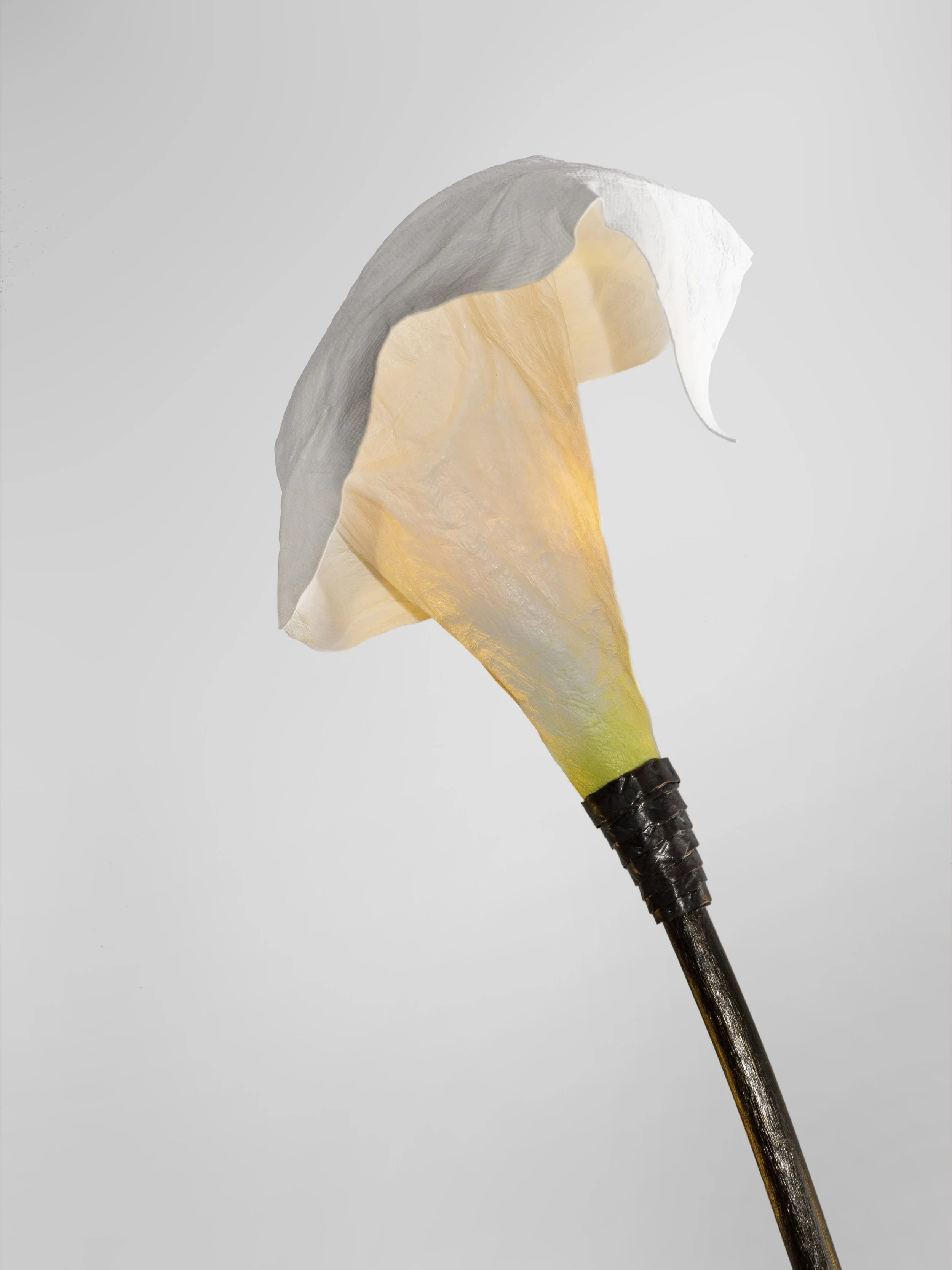 FLOWER A LIT .jpg