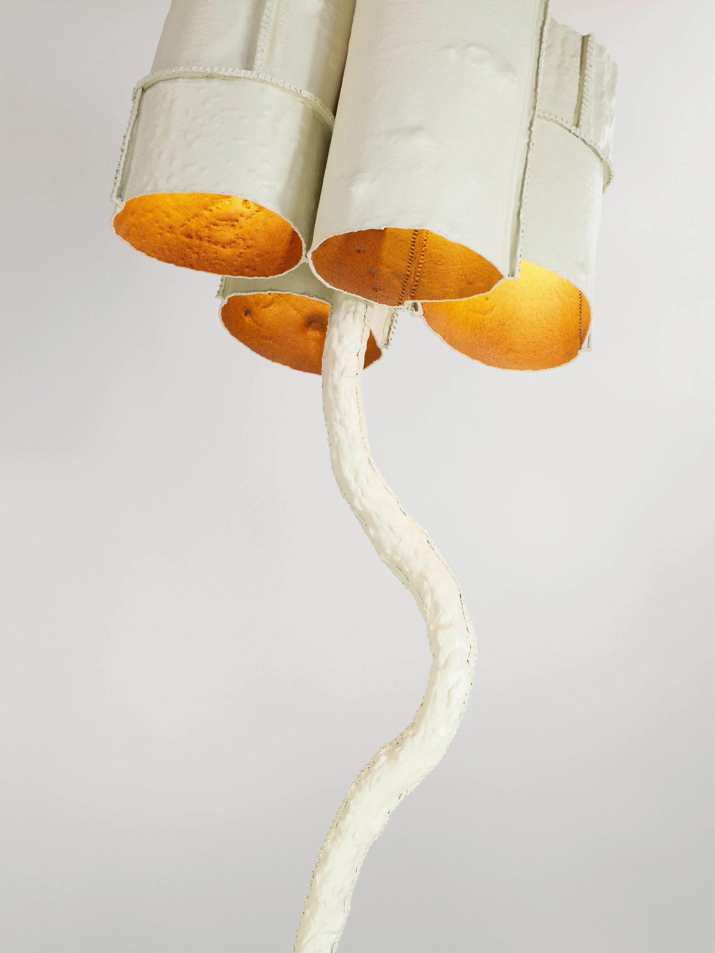 TFTG-12 Detail 1.jpg