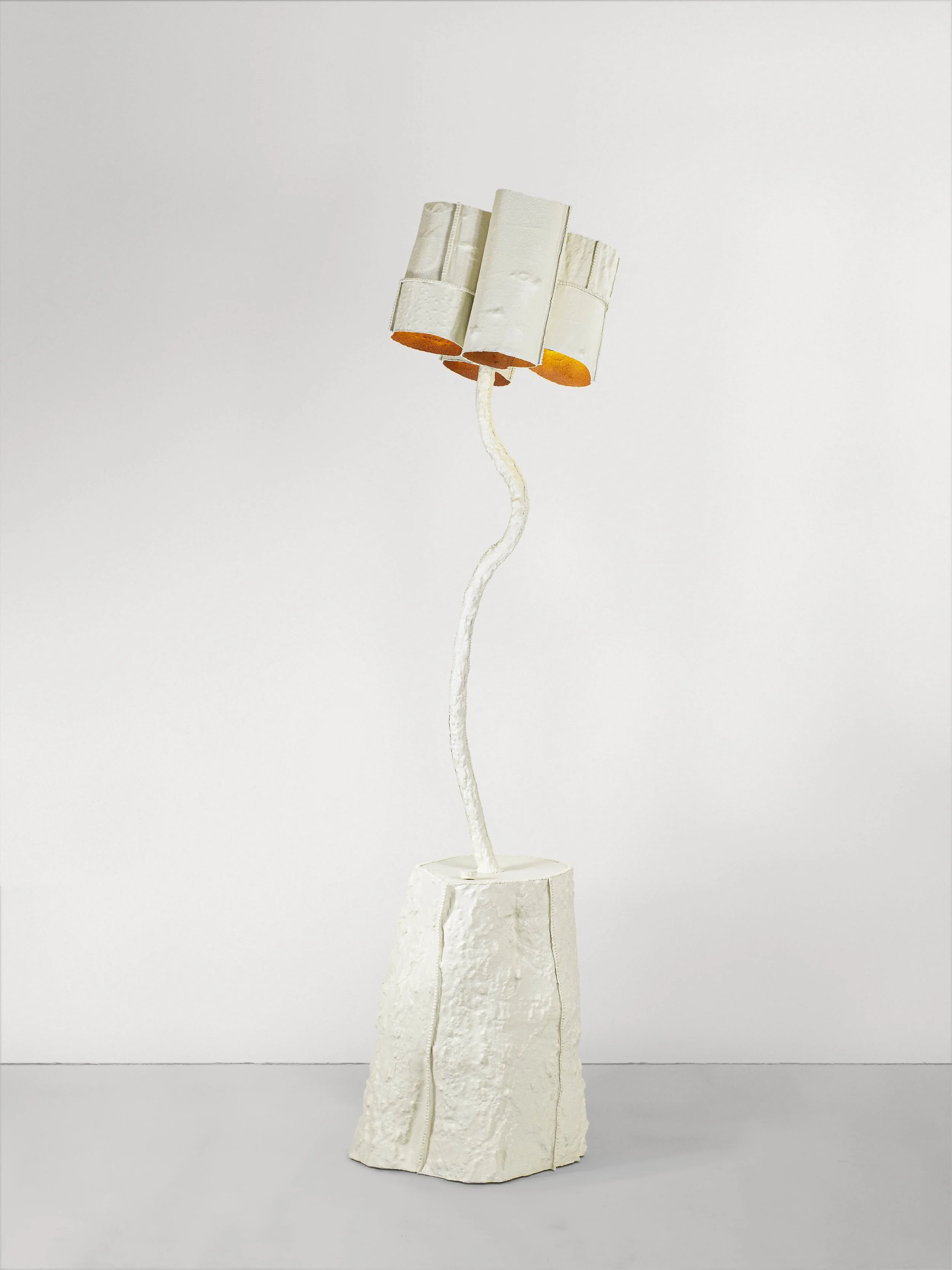 TFTG-12 Front HERO.jpg