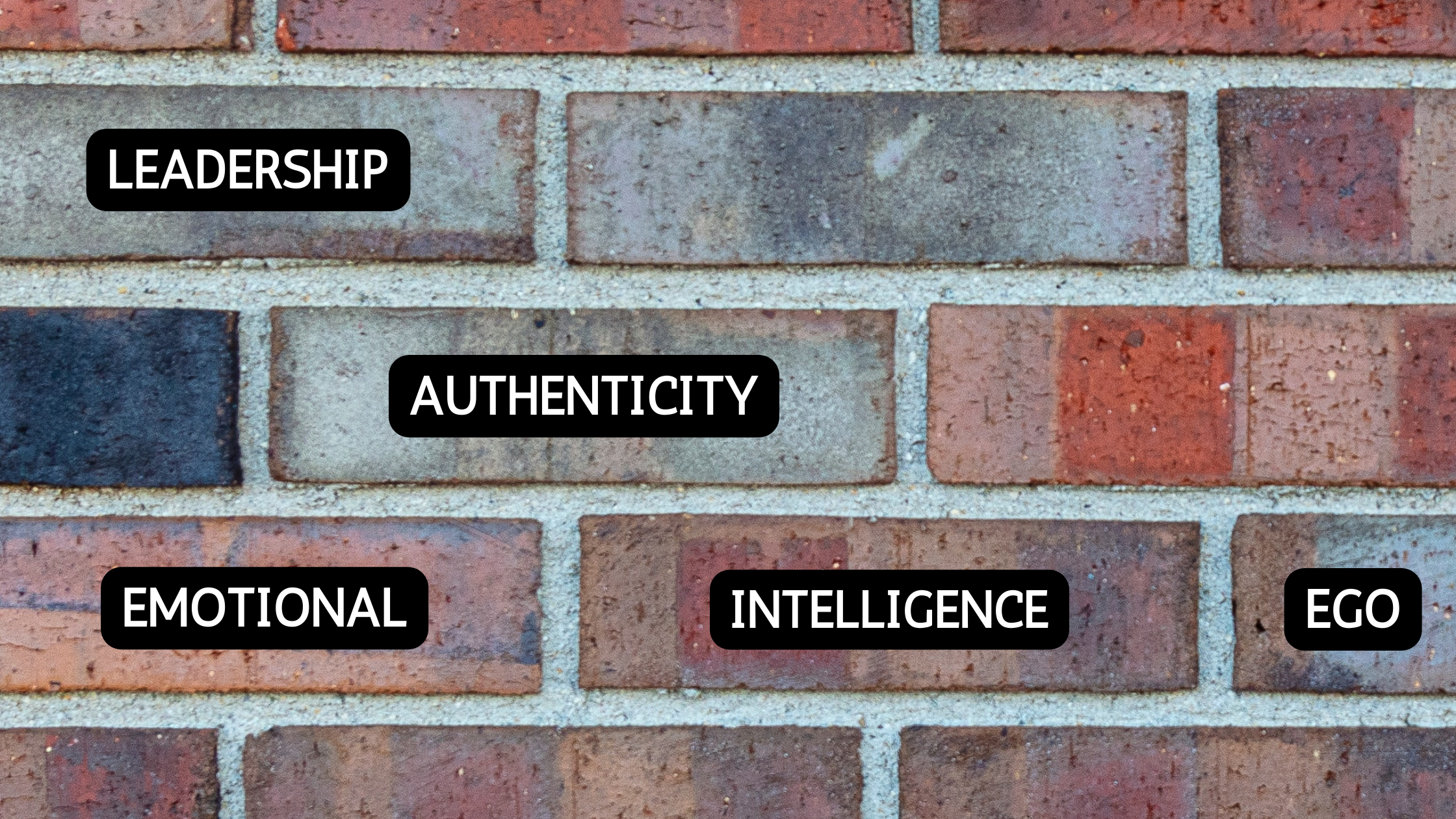 Embracing Authentic Leadership: The Power of the Ego &amp; Emotional Intelligence