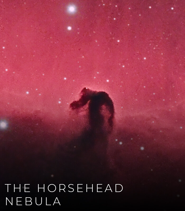 horsehead.jpeg