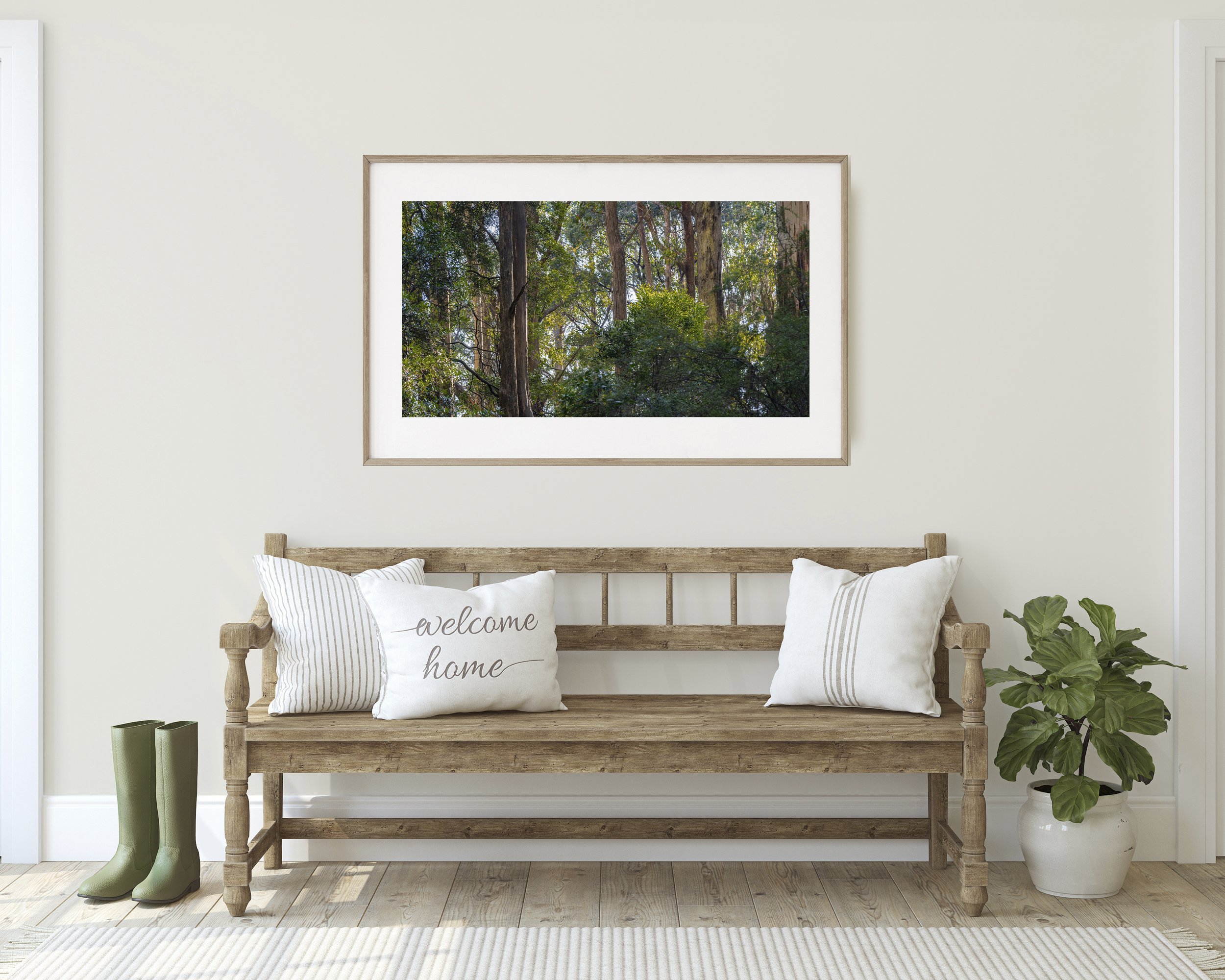among the trees-pano-oak.jpg
