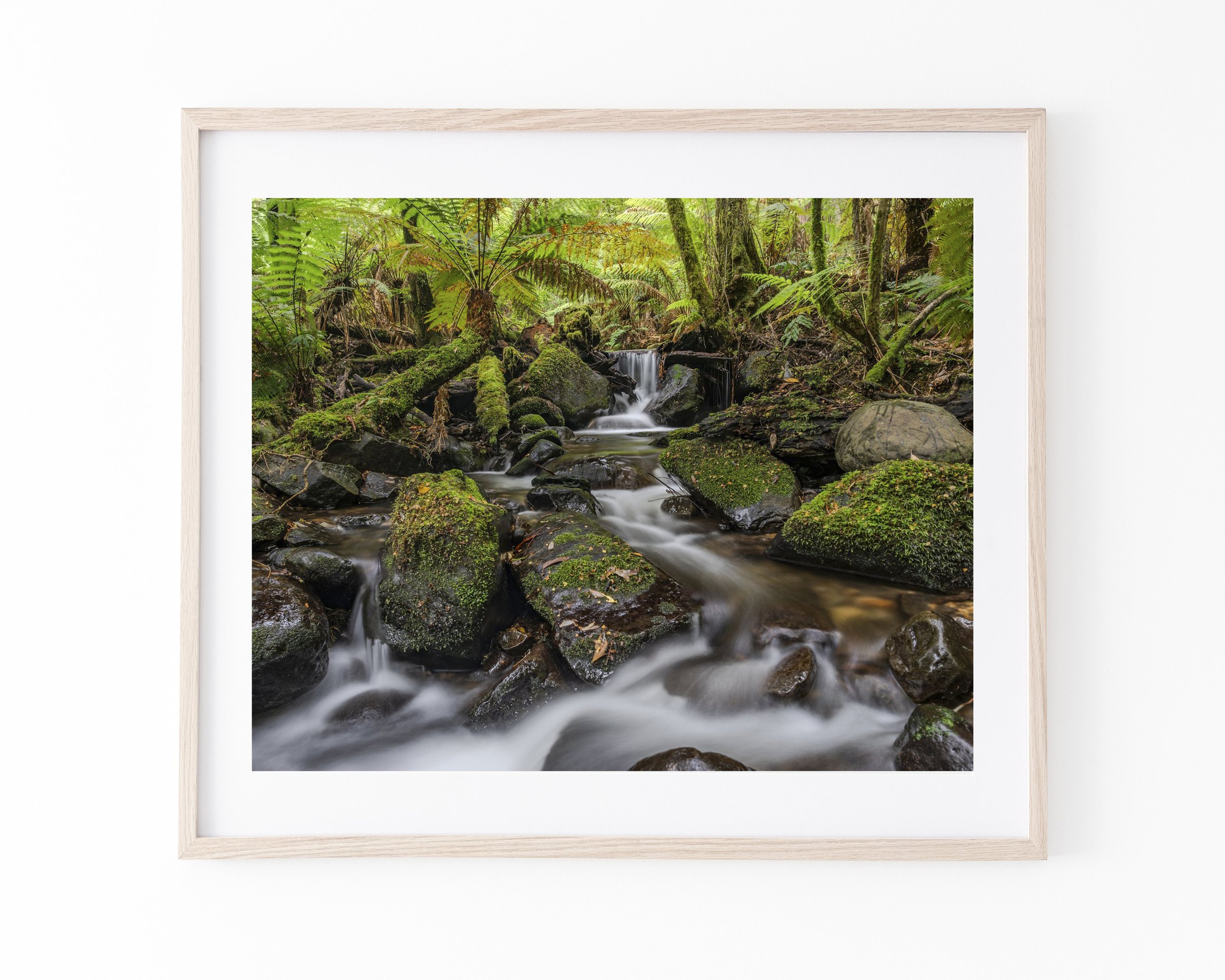 Journey Downstream-oakk.jpg