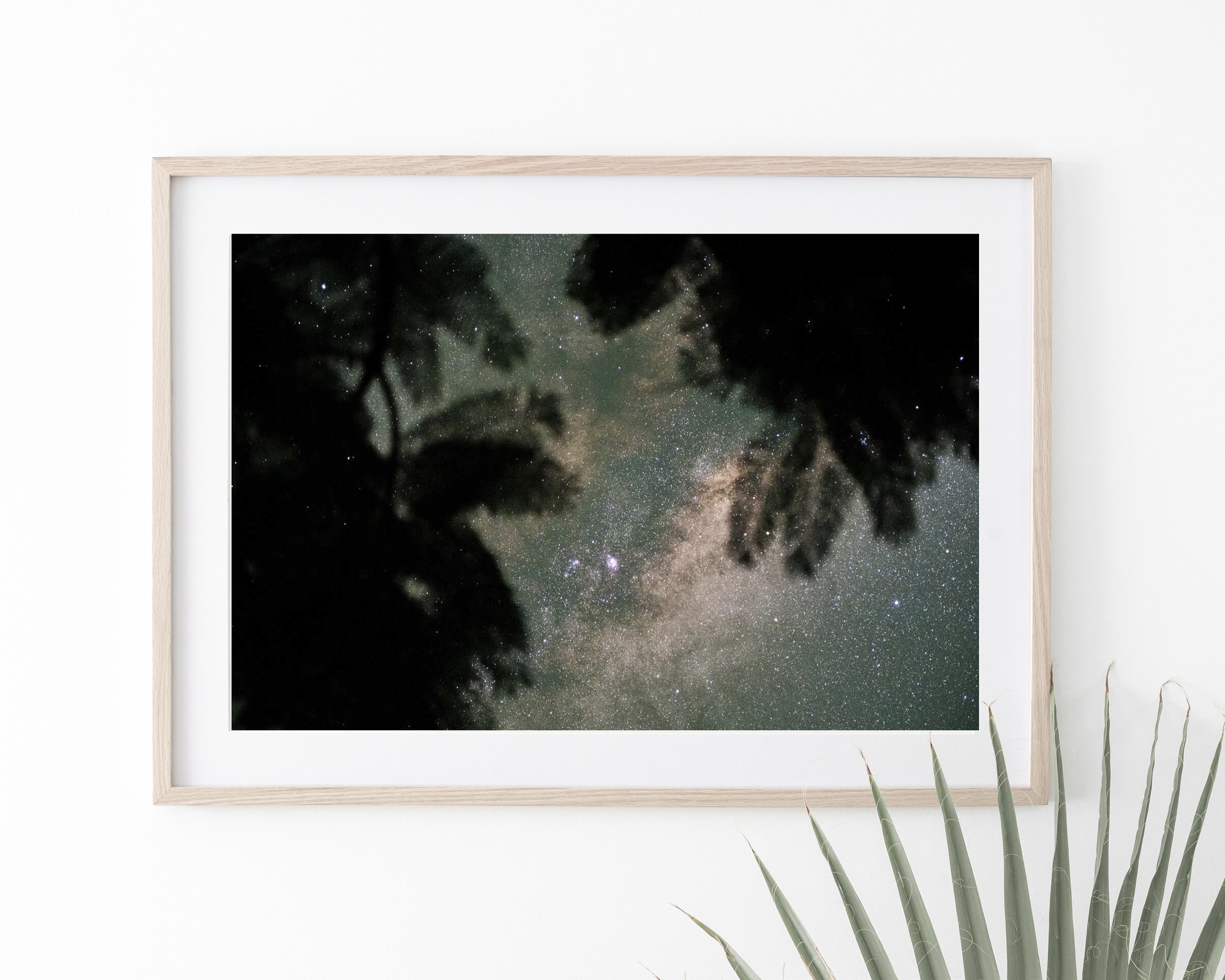 Universe from Earth-oak-leaves.jpg
