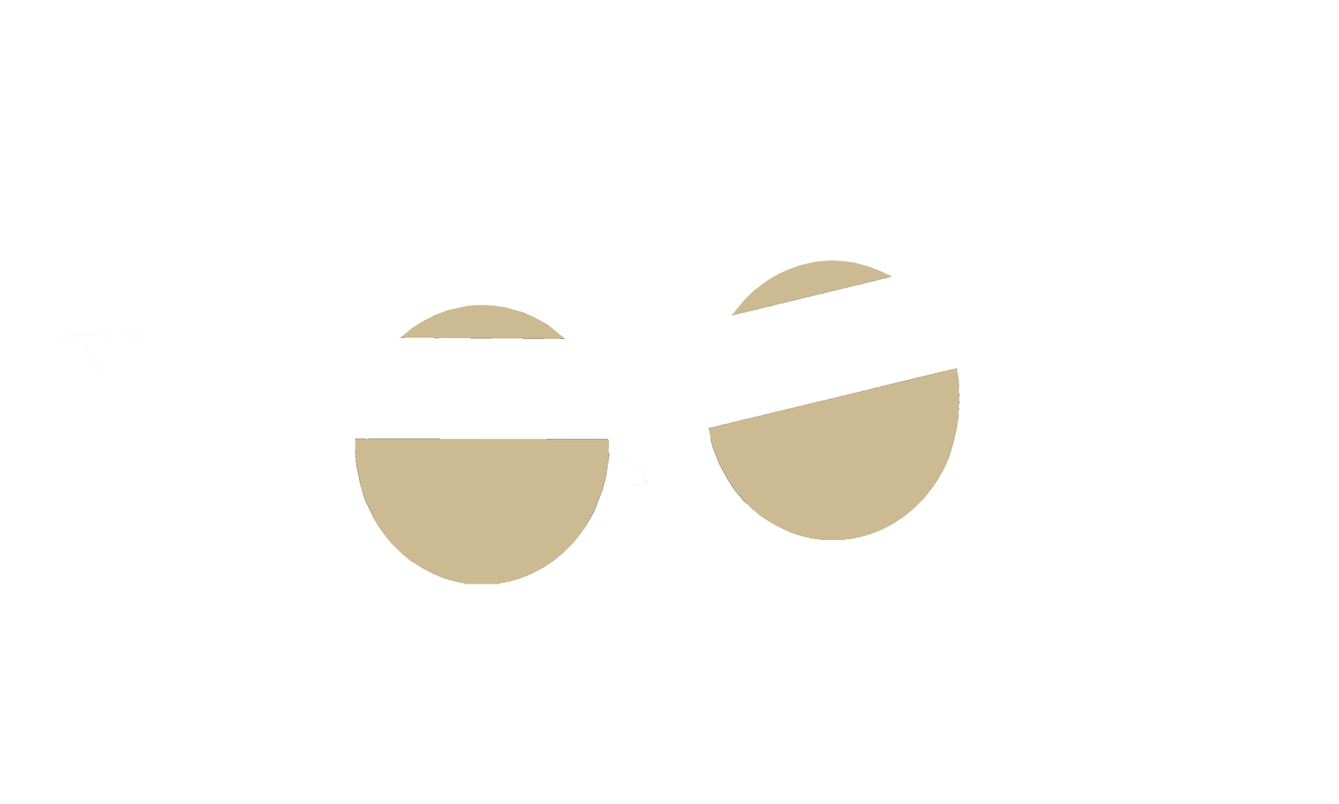 Langley Flight Foundation