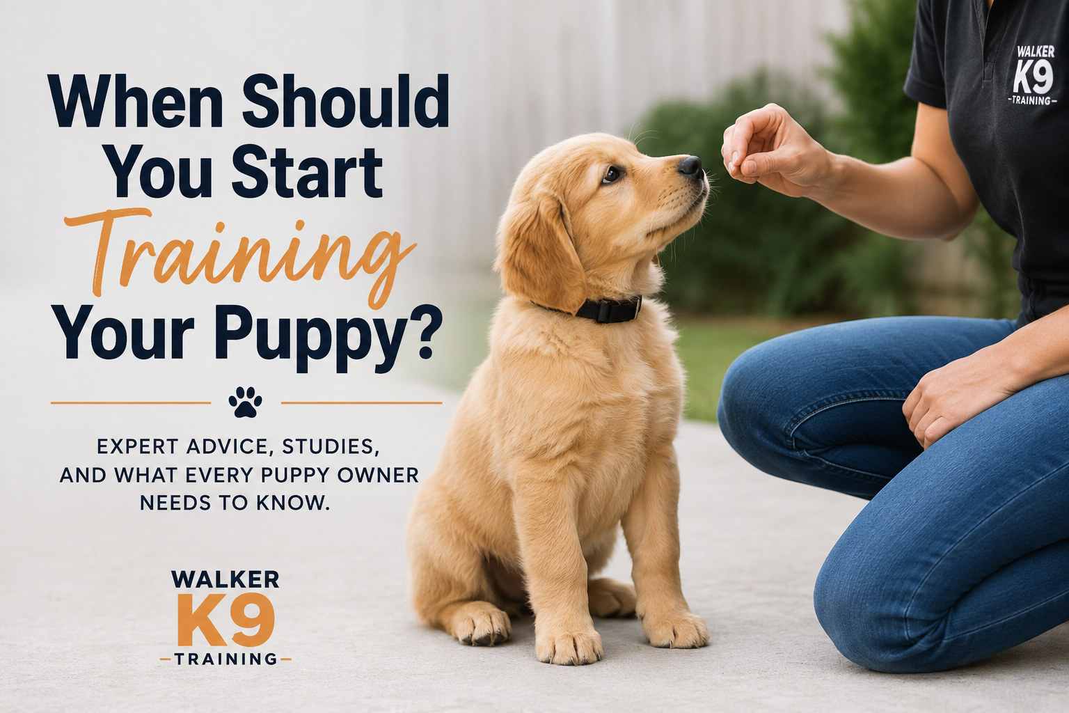 When should I start training my puppy?