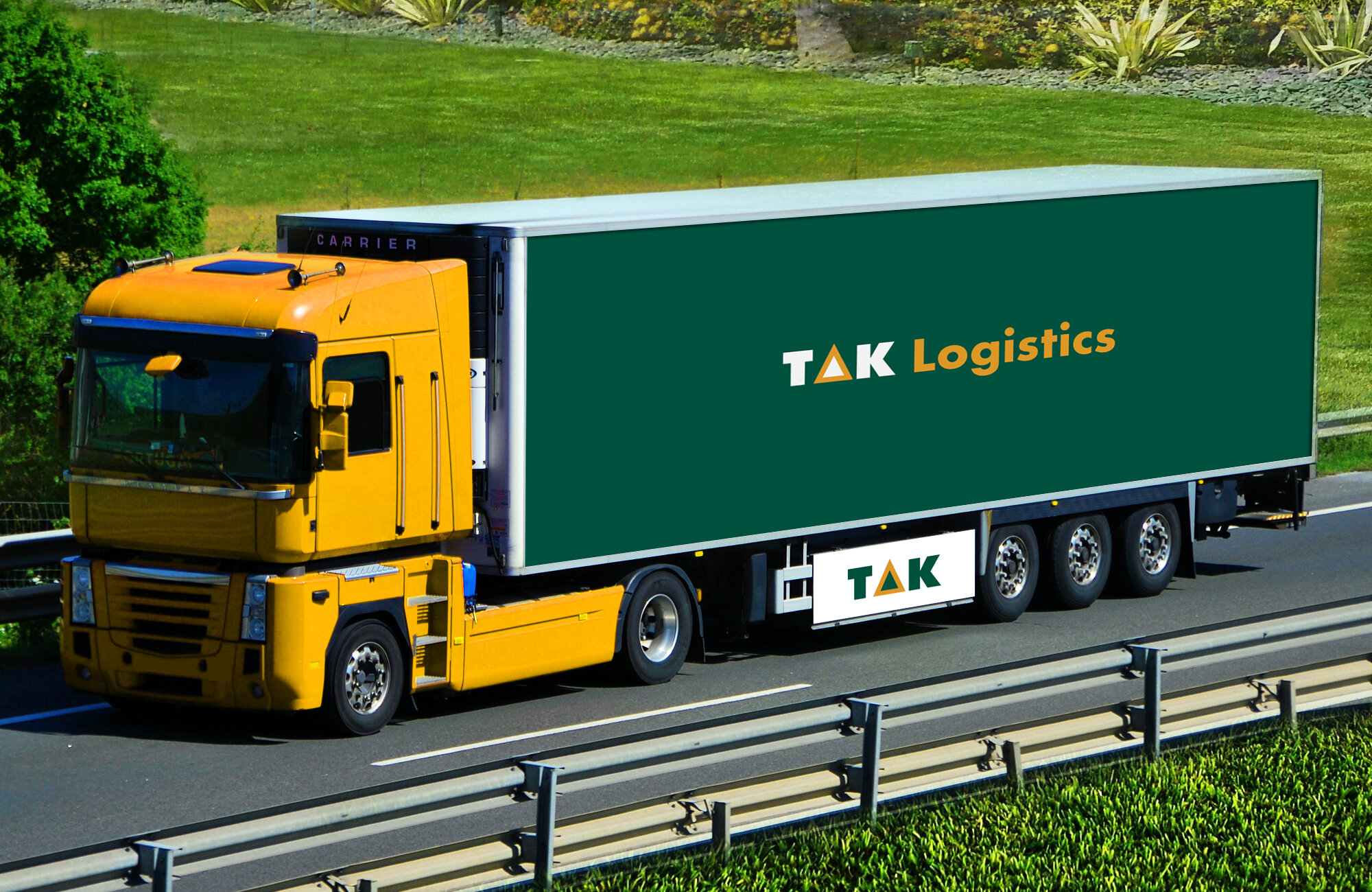 T4.jpg