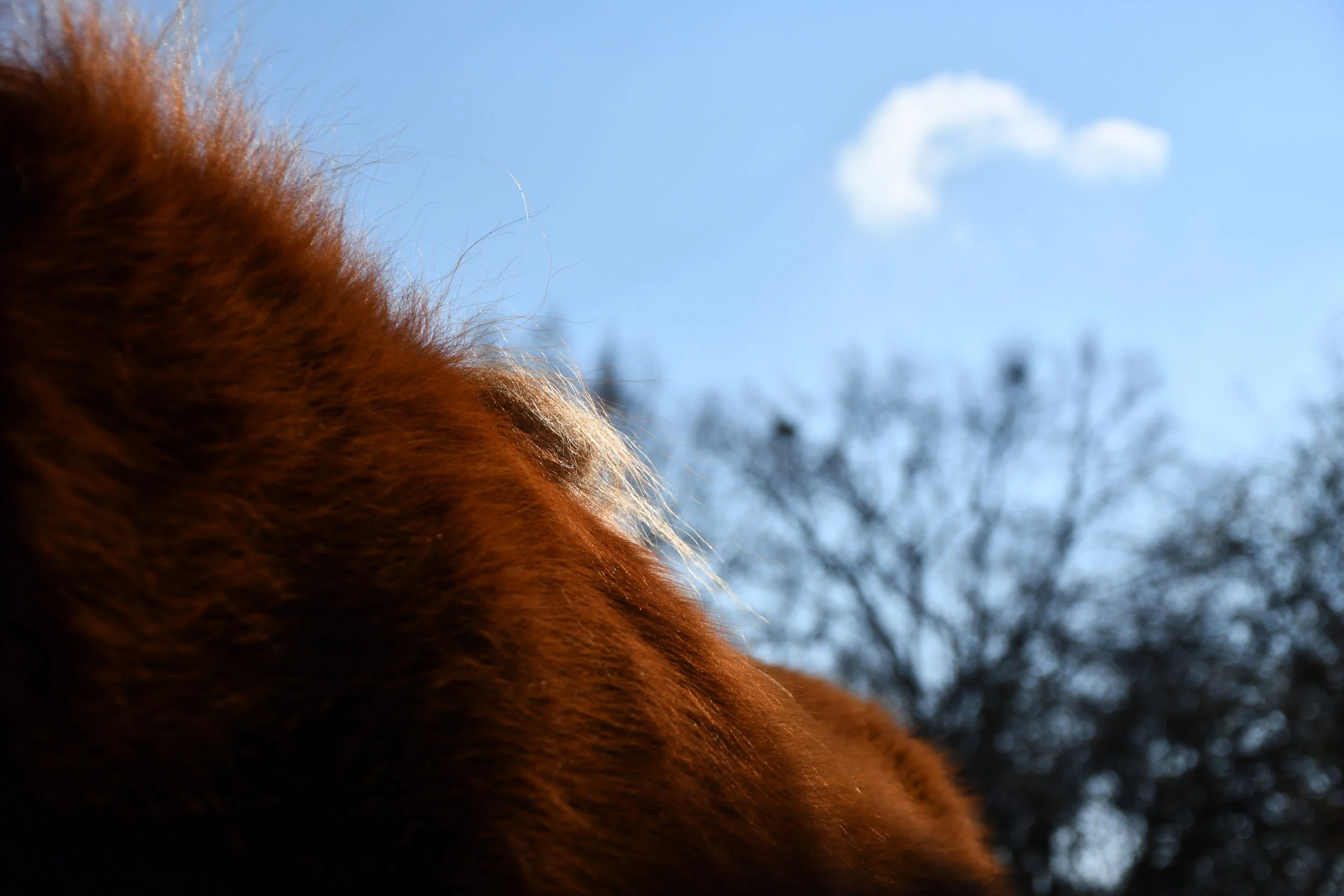 Indre, février 2021