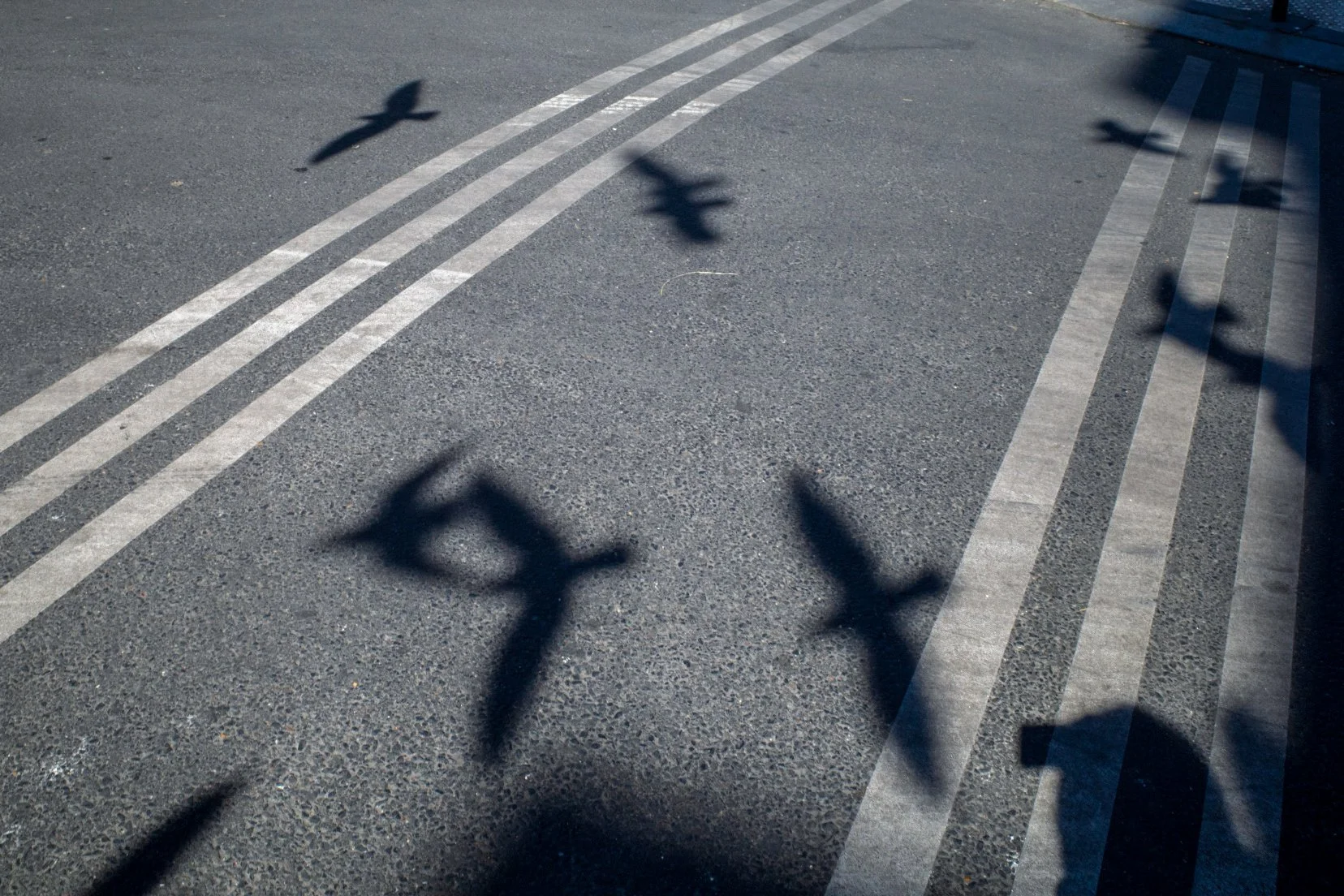 12. Adaptation Emilie Vernerey.jpg