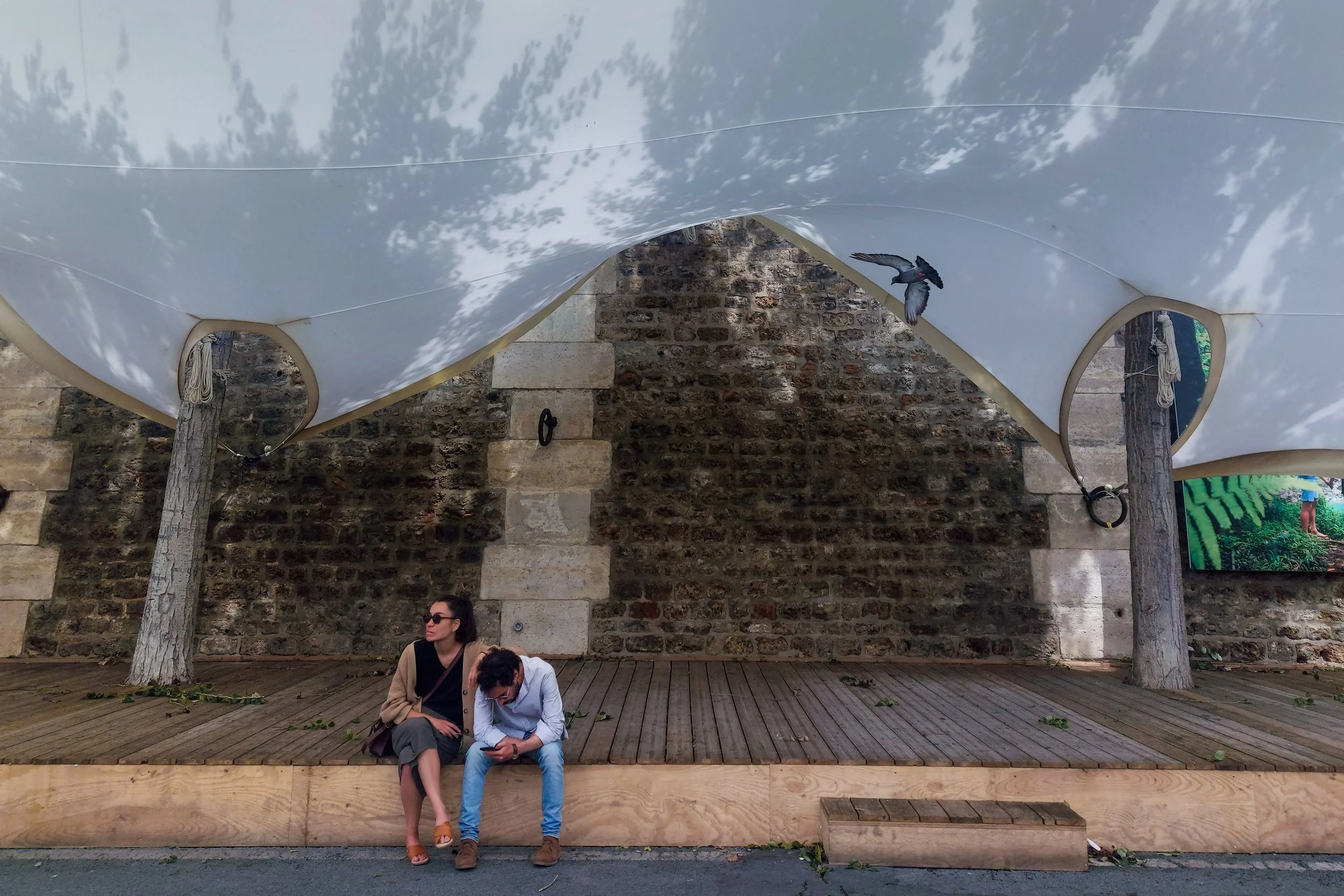 13. Adaptation Emilie Vernerey.jpg