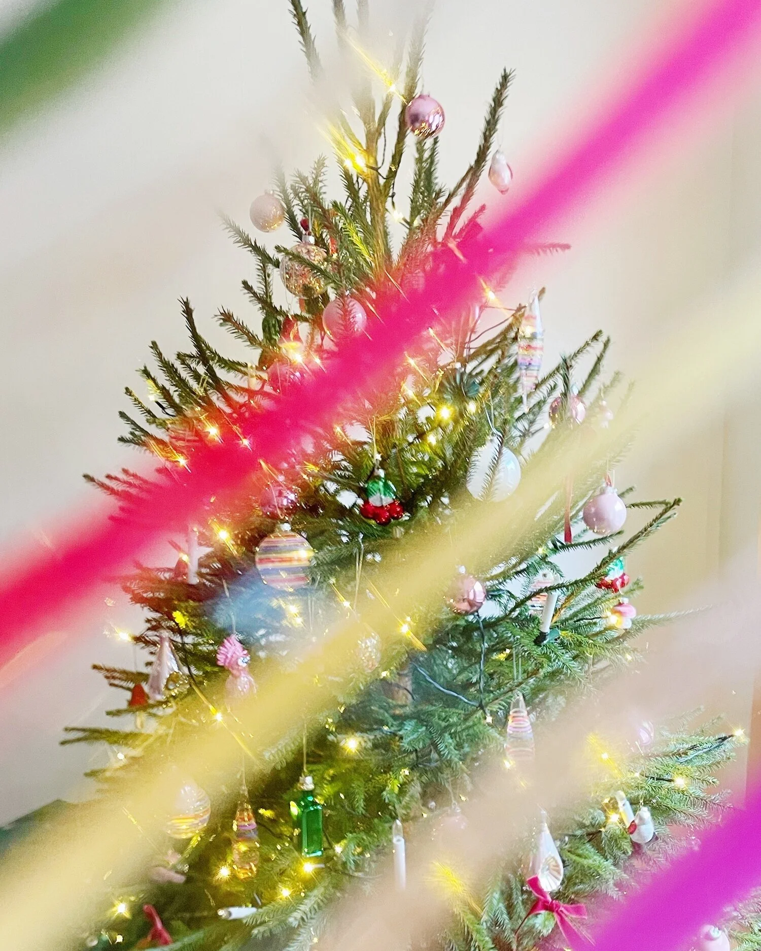Our first Christmas in Malmo