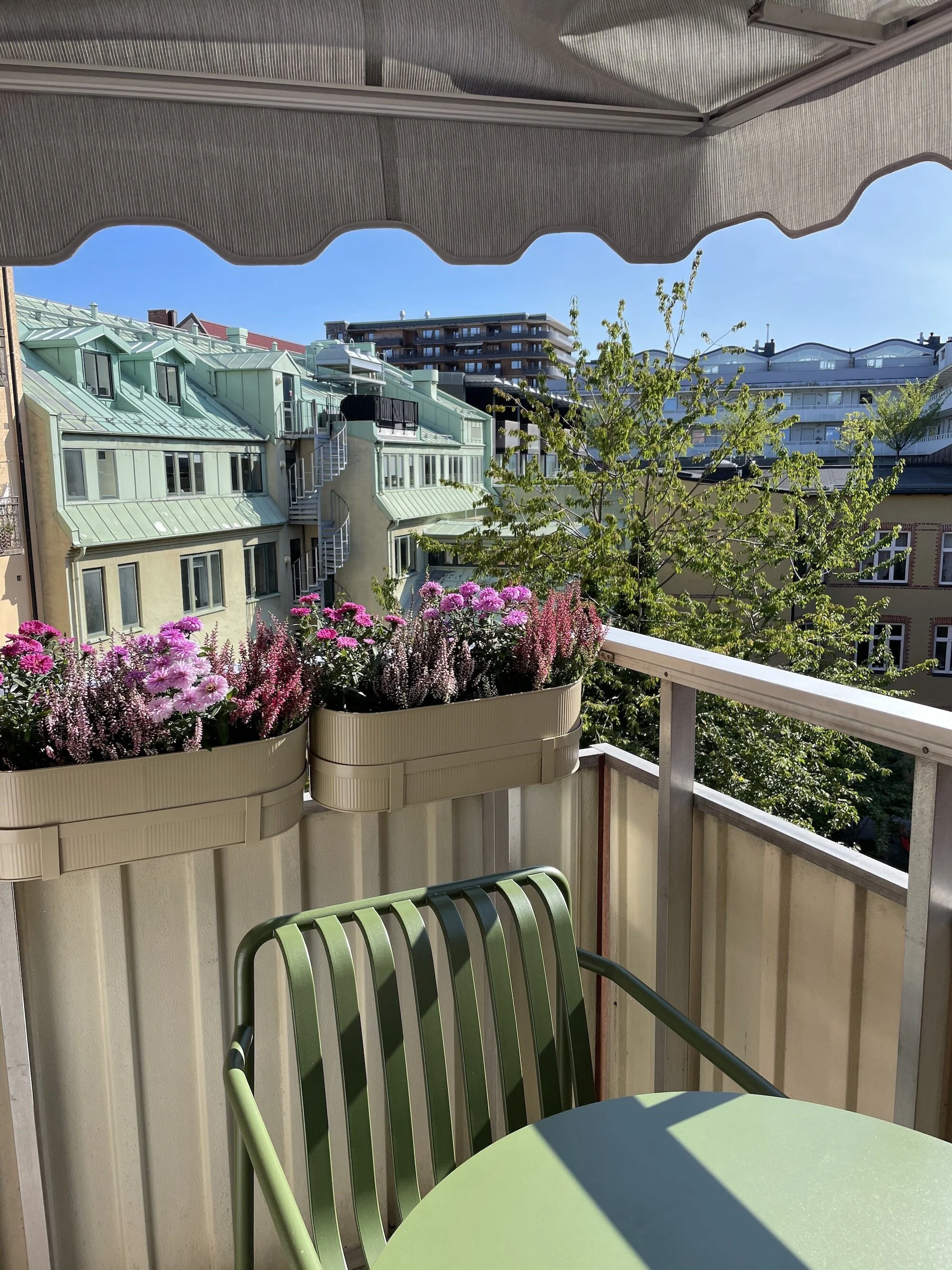 IMG_1178.jpeg