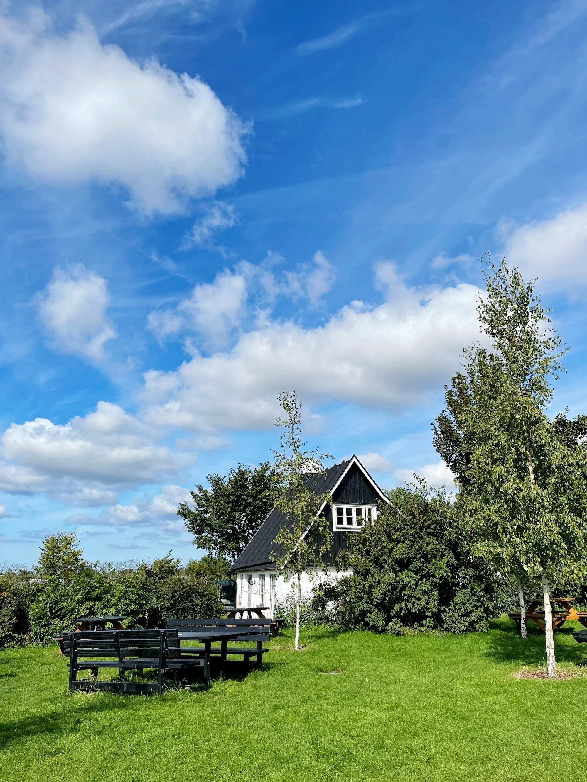 MeganinMalmo_Hallongarden1.JPG
