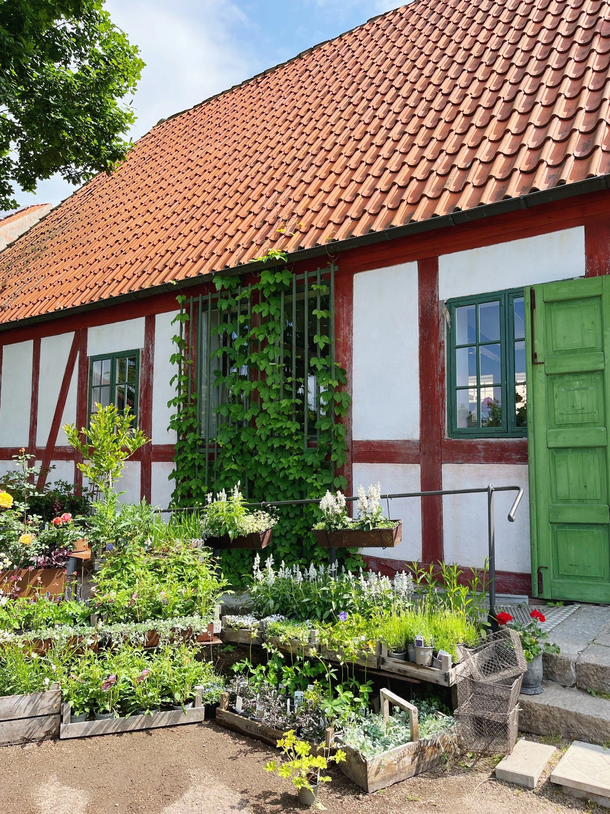 MeganinMalmo_Fredriksdal16.JPG