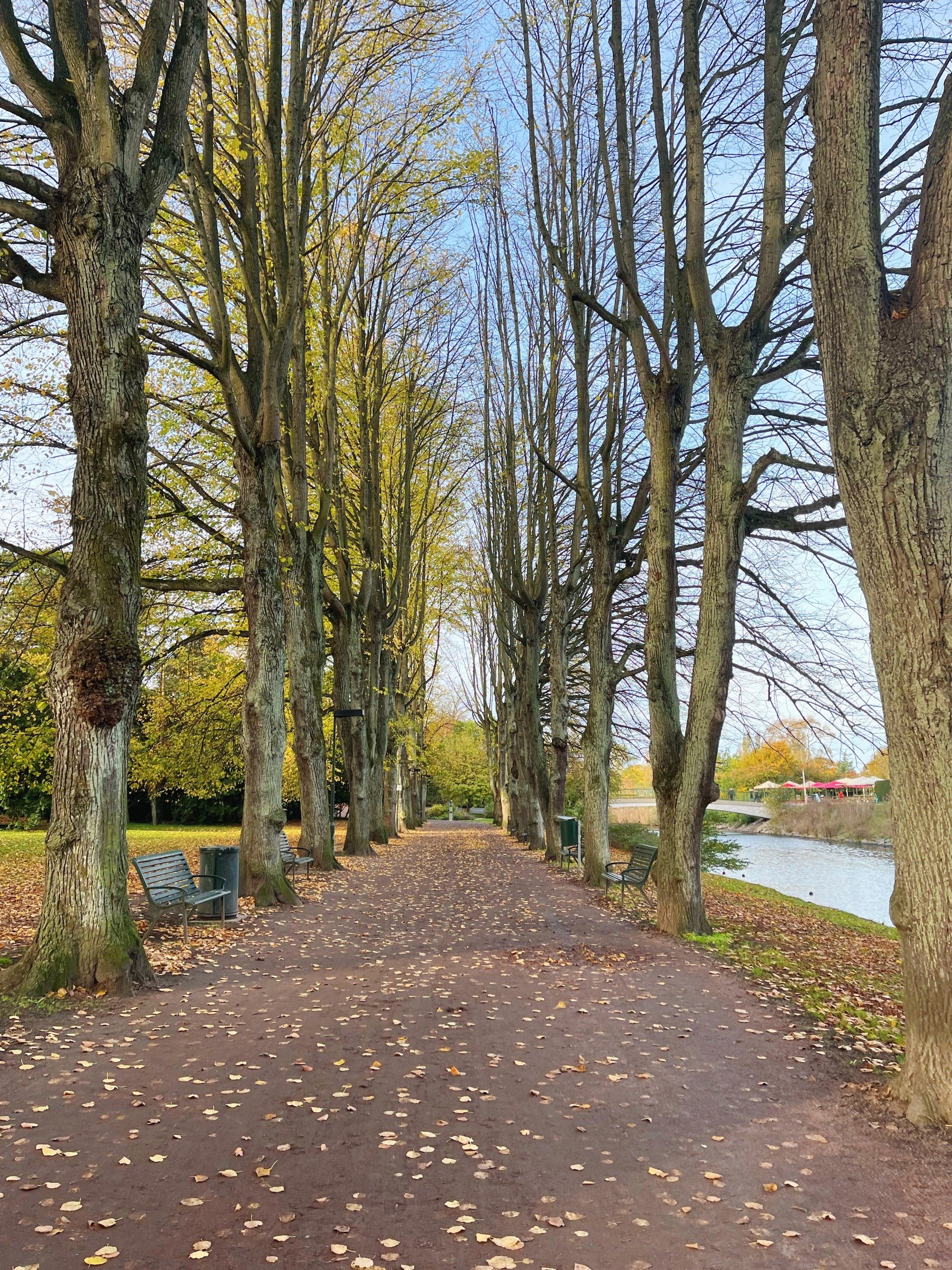 MeganinMalmo_AutumnMalmo7.JPG