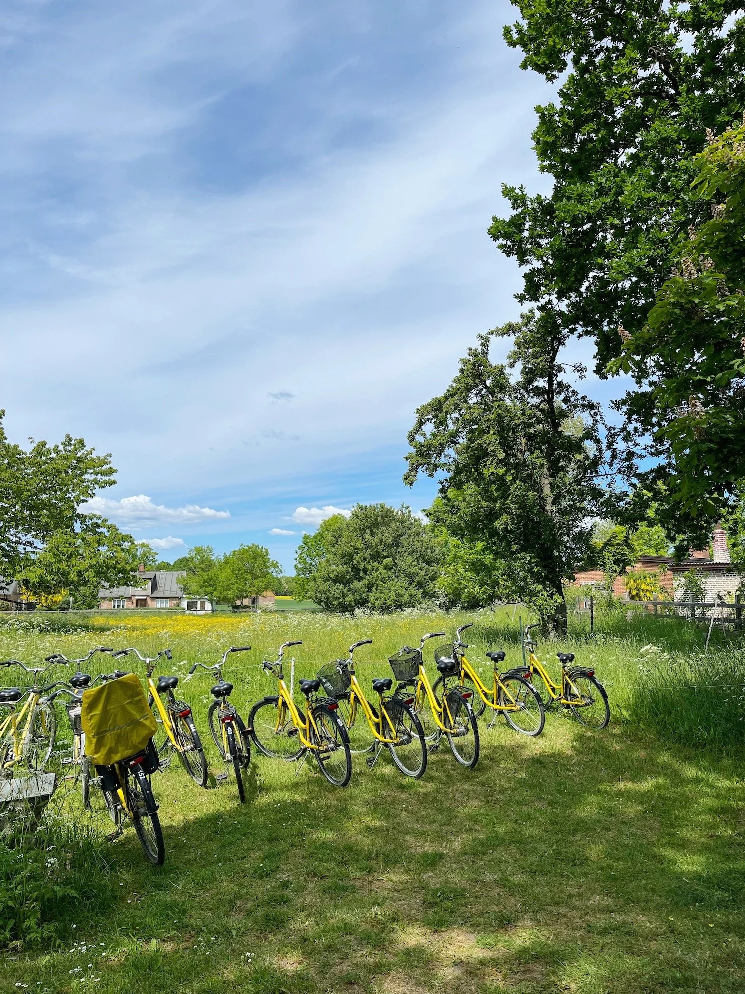 MeganinMalmo_VenIsland12.JPG