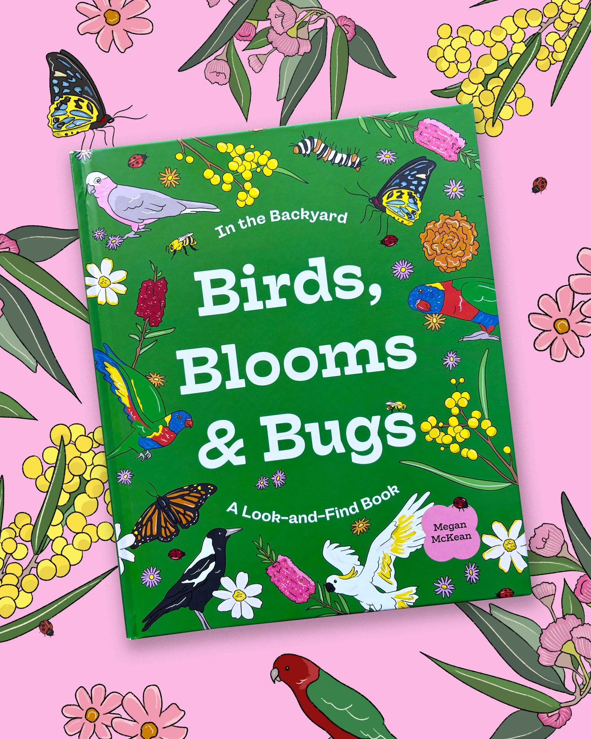 Introducing ‘Birds, Blooms &amp; Bugs’ 