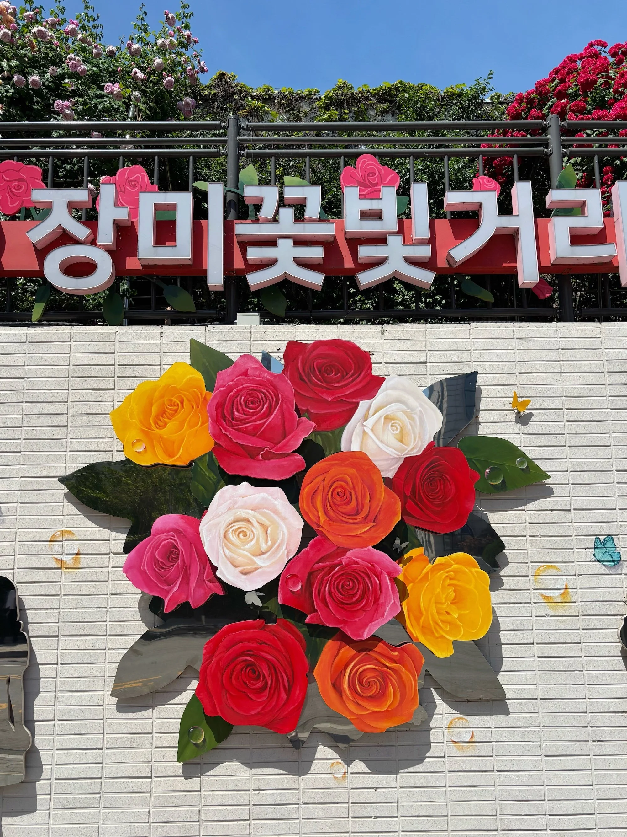 Travel in Colour; Seoul