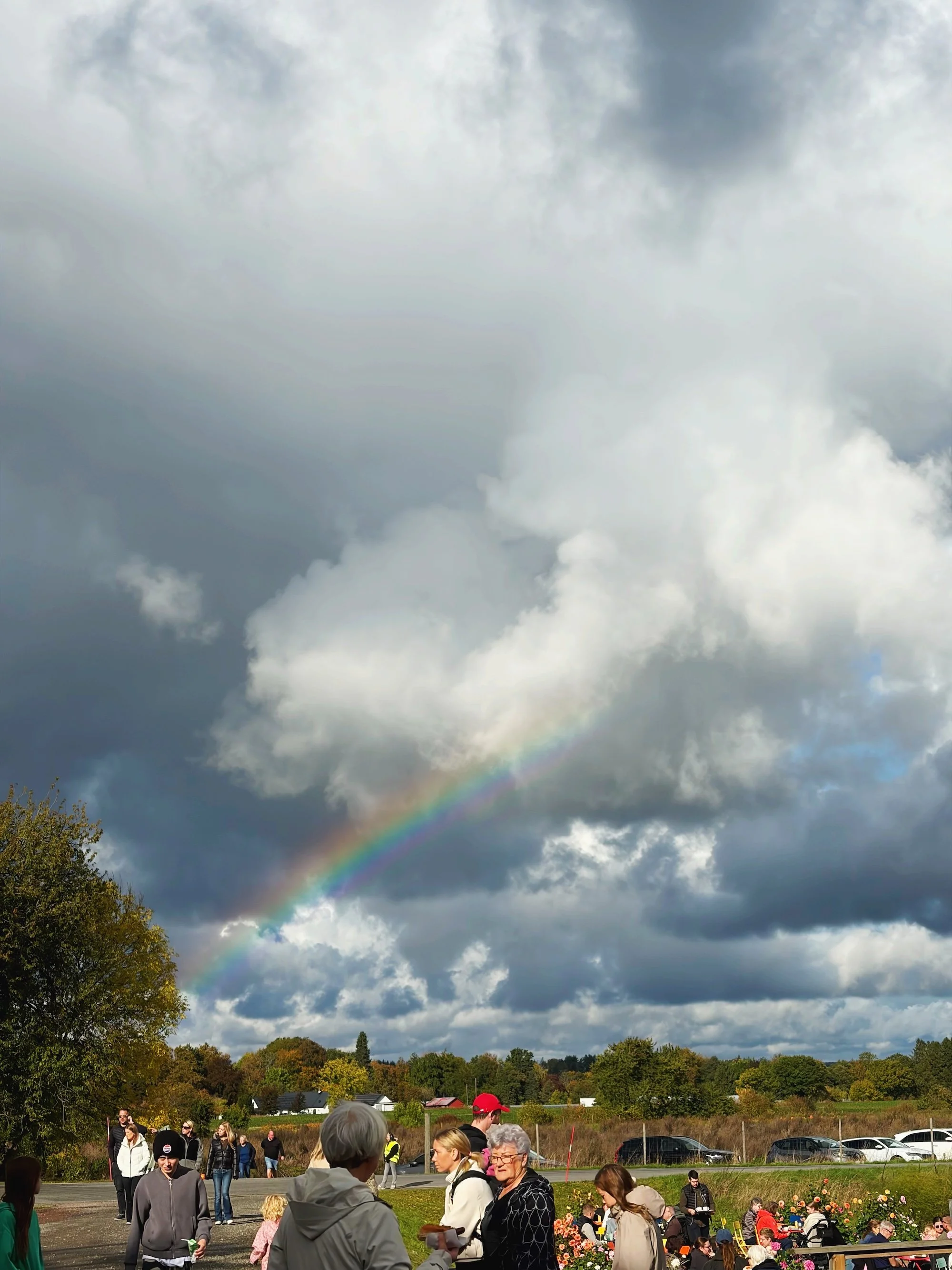 MeganinMalmo_PumpkinPatch8.jpg