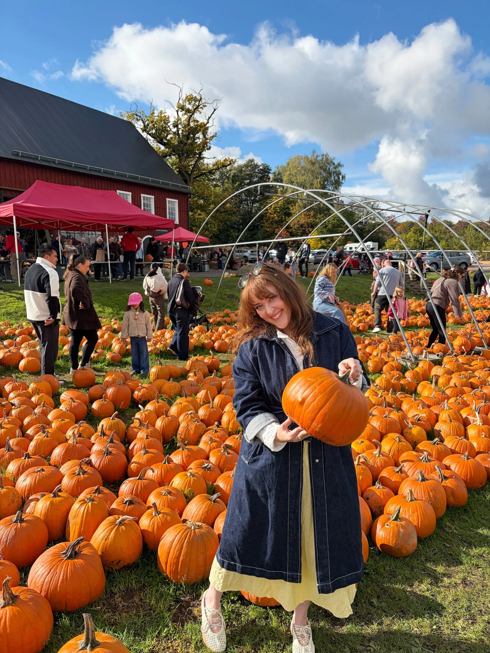 MeganinMalmo_PumpkinPatch12.jpg
