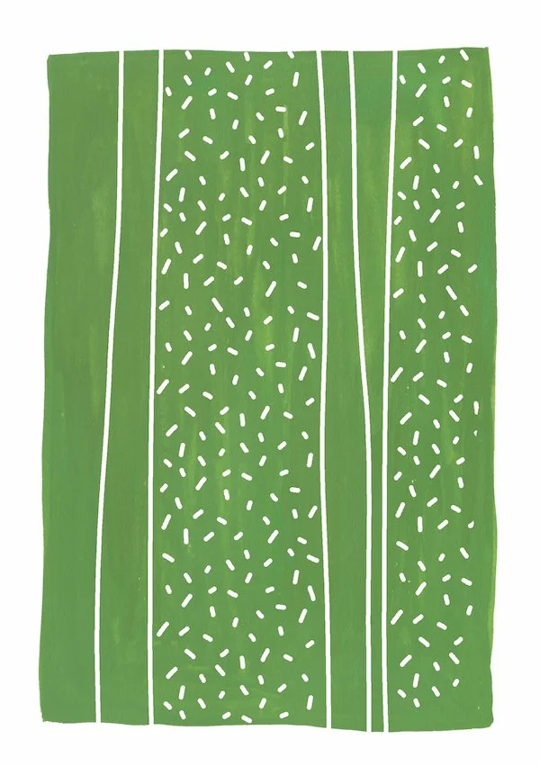 Cactus_MeganMcKean.jpg